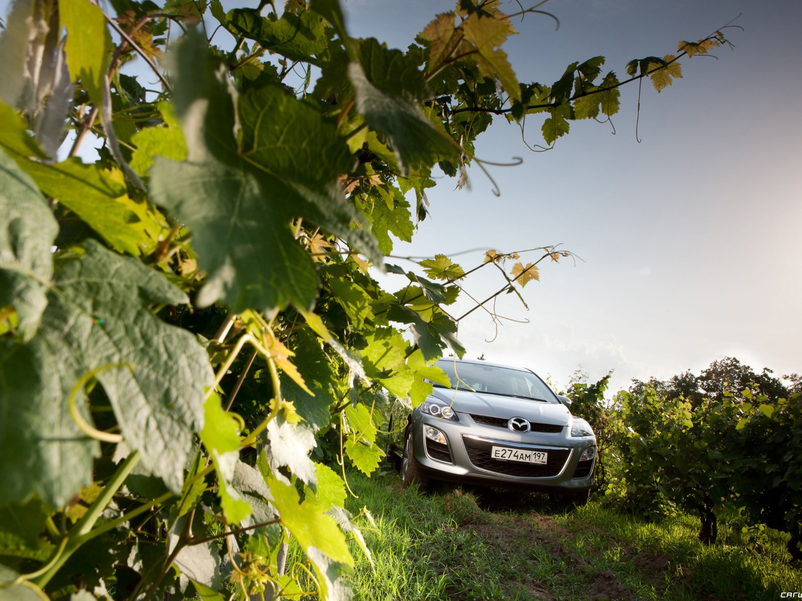 Mazda CX-7 - 2010 馬自達 #47 - 1600x1200