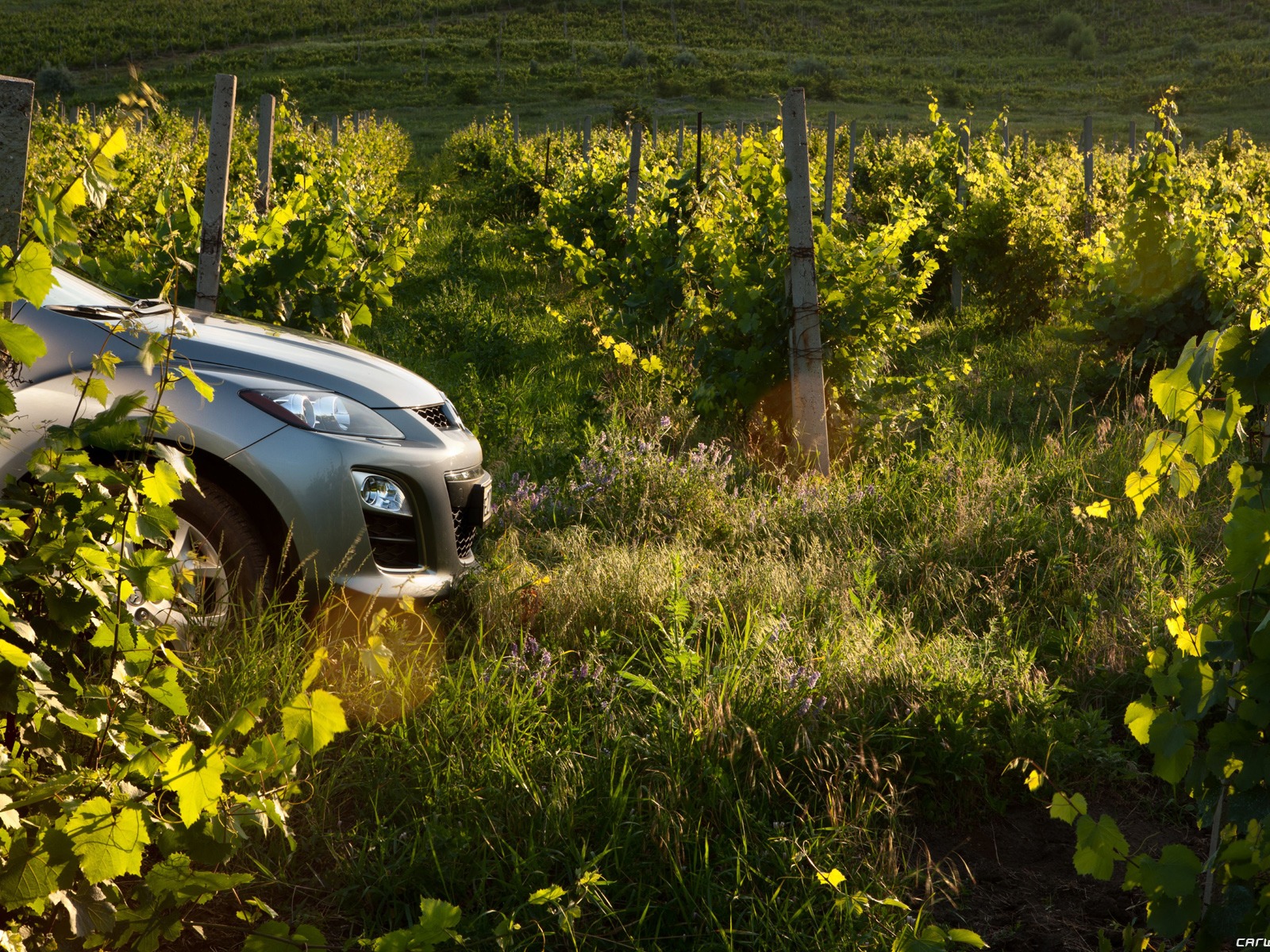 Mazda CX-7 - 2010 馬自達 #51 - 1600x1200