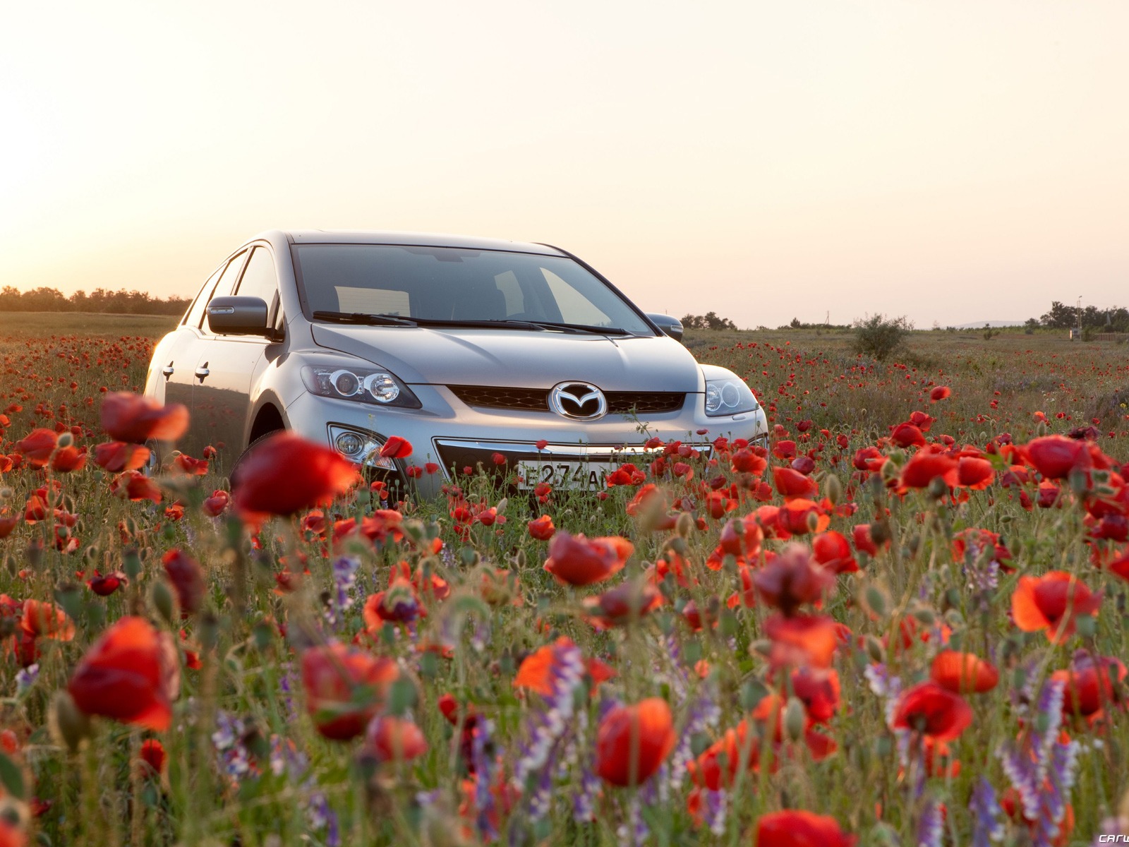 Mazda CX-7 - 2010 馬自達 #55 - 1600x1200