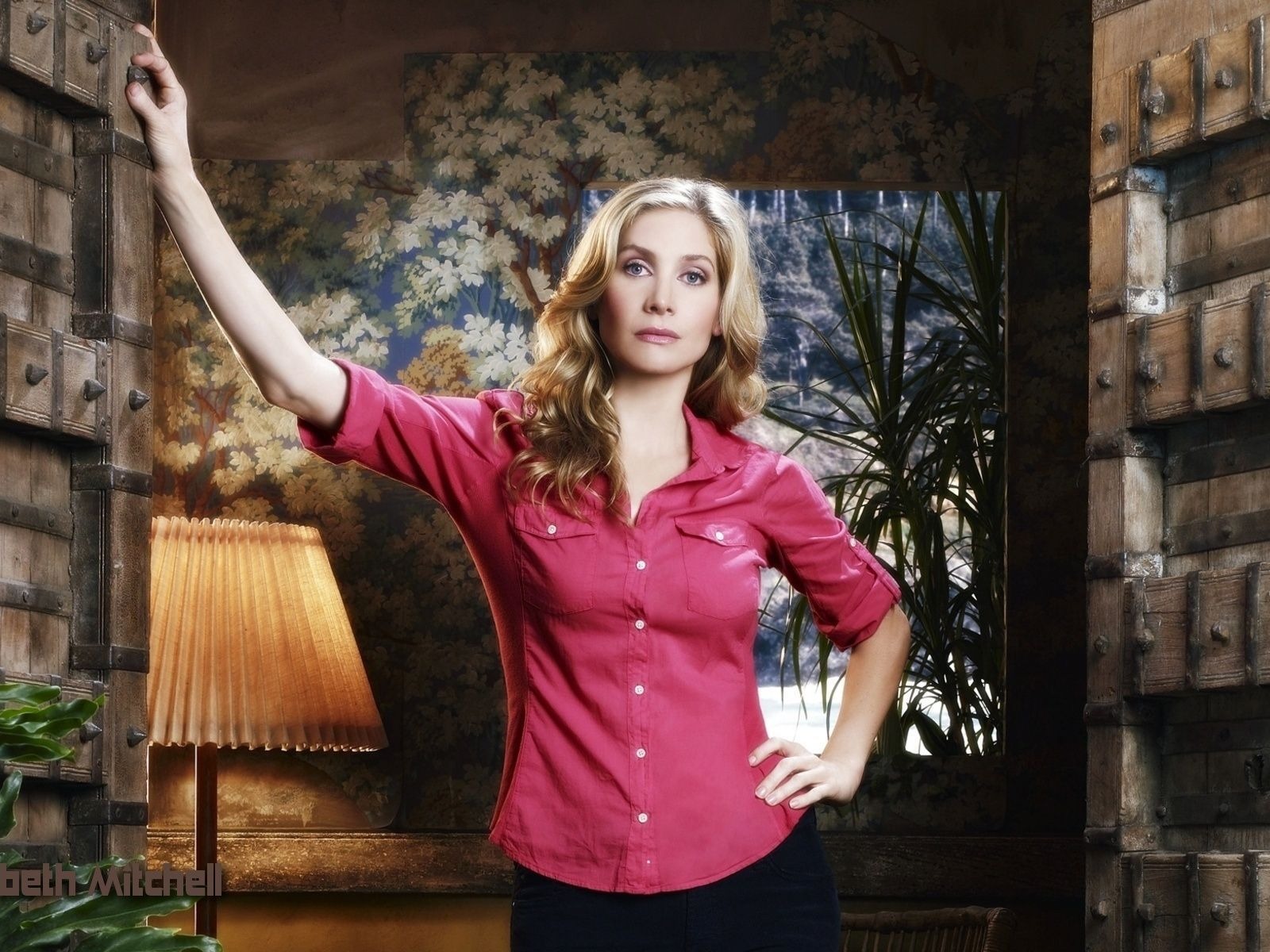 Elizabeth Mitchell 伊麗莎白·米切爾美女壁紙 #6 - 1600x1200