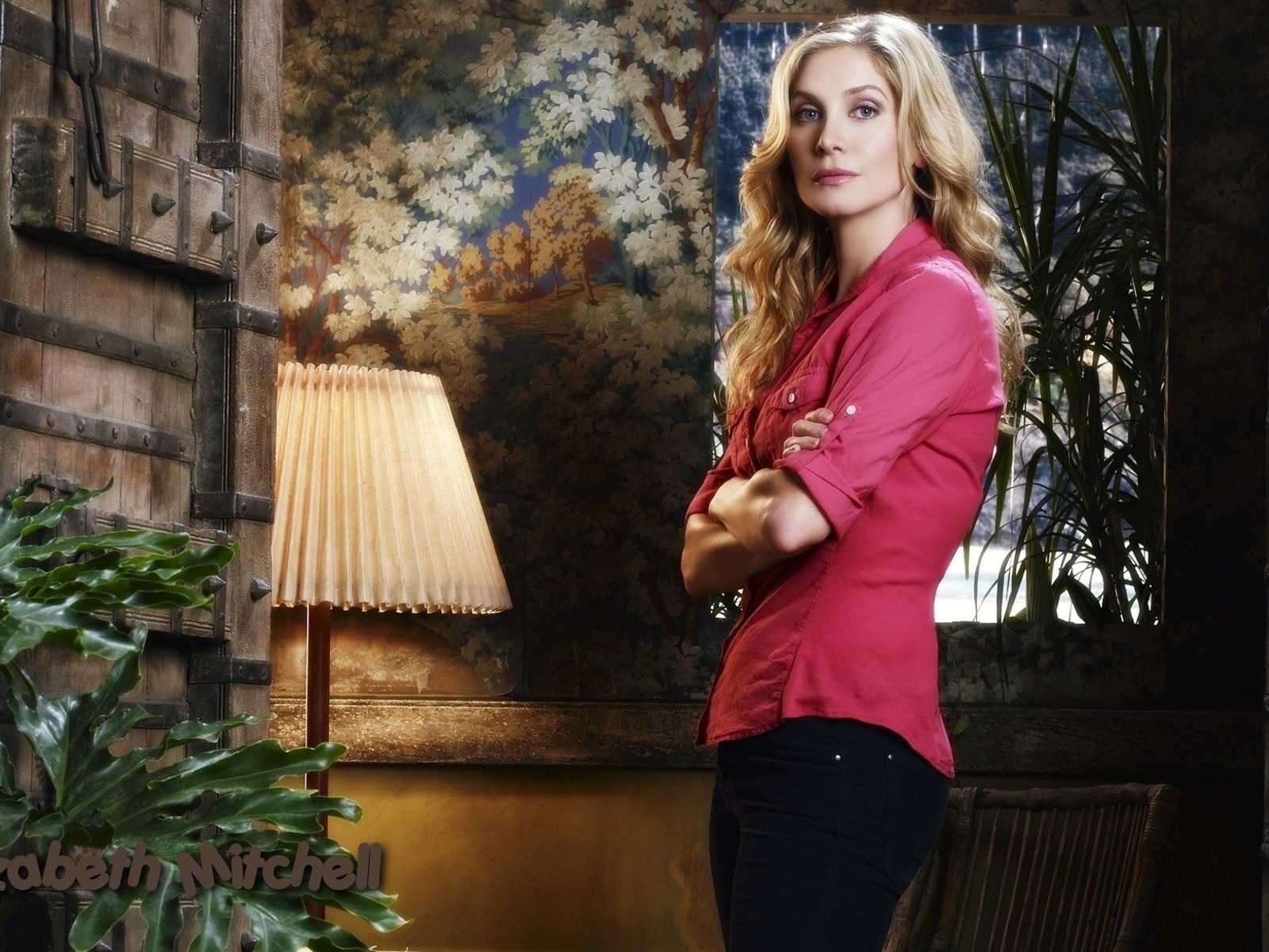 Elizabeth Mitchell 伊麗莎白·米切爾美女壁紙 #9 - 1600x1200