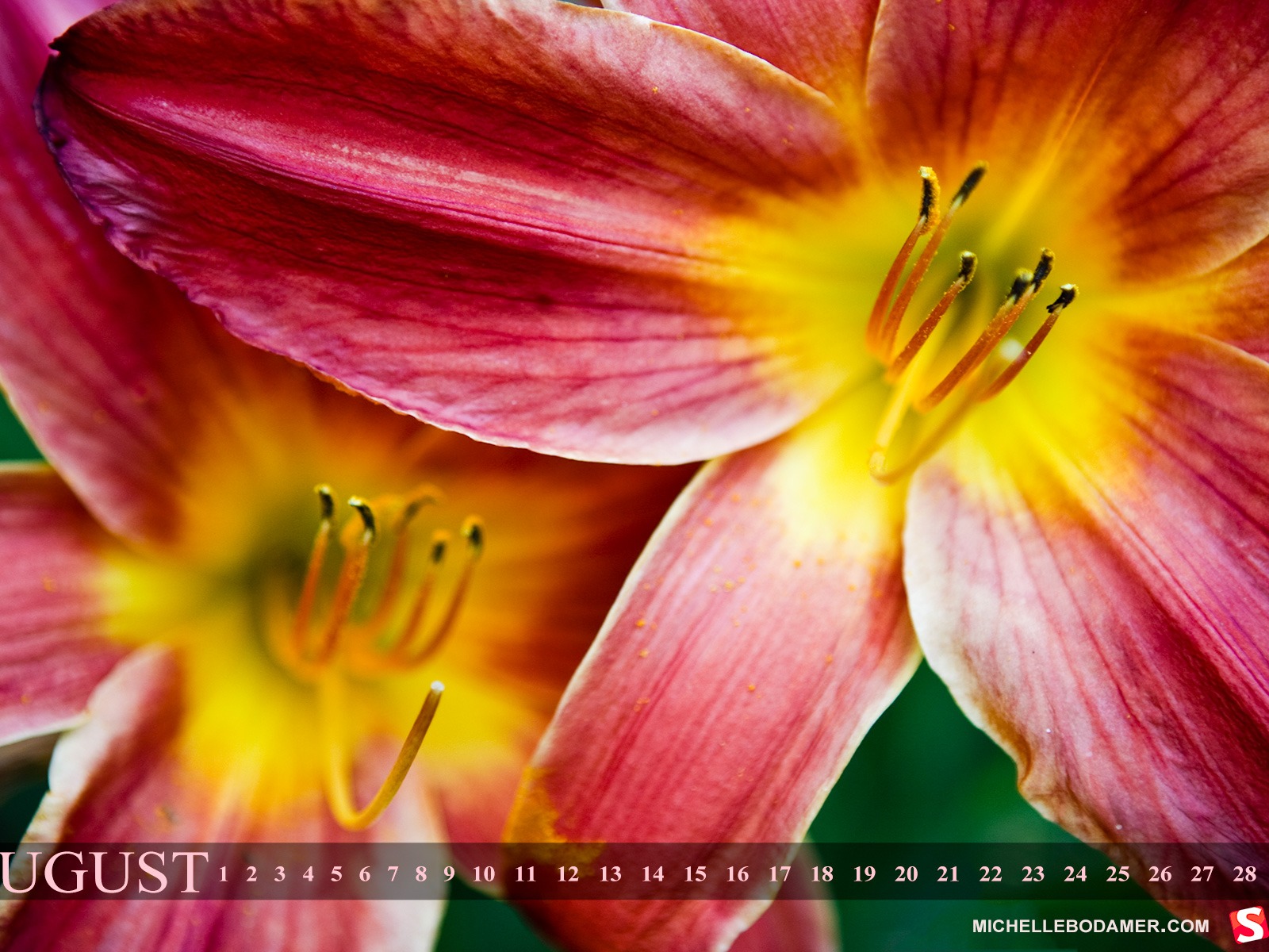 2011年8月 月曆壁紙(一) #1 - 1600x1200
