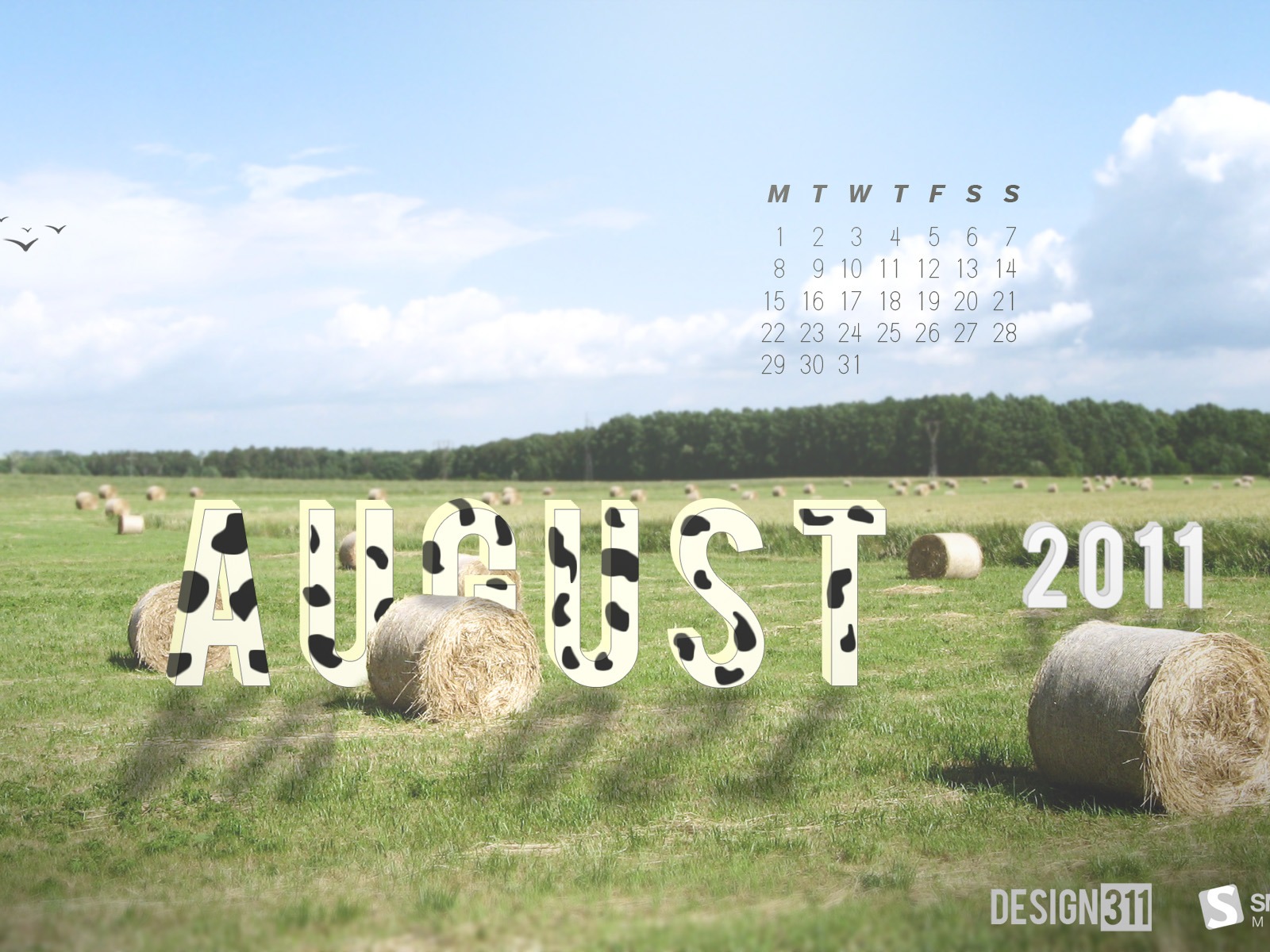 August 2011 calendar wallpaper (1) #11 - 1600x1200