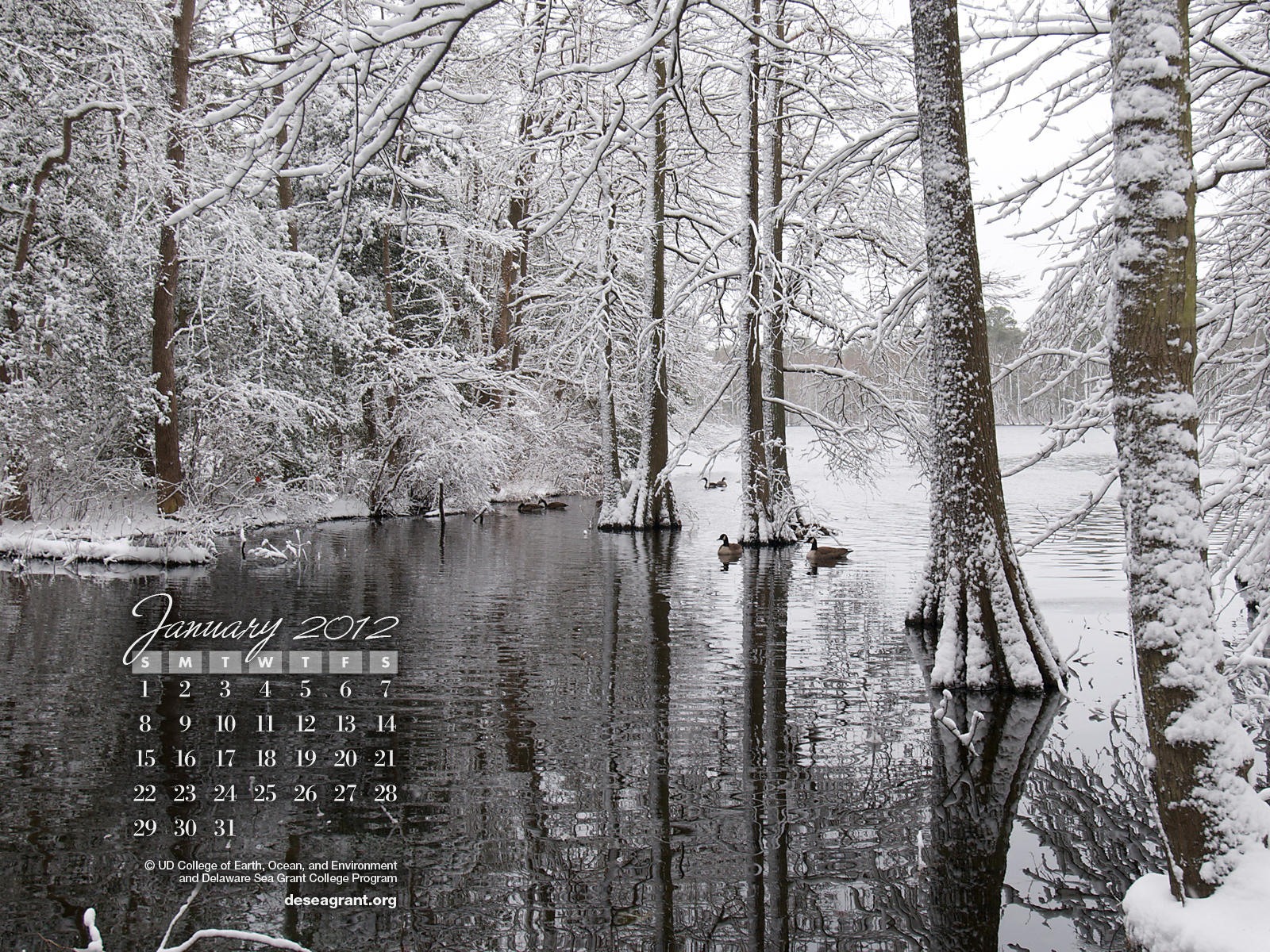 2012年1月 月曆壁紙 #2 - 1600x1200