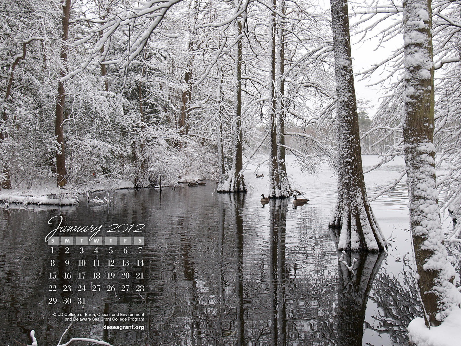 January 2012 Calendar Wallpapers #2 - 1600x1200