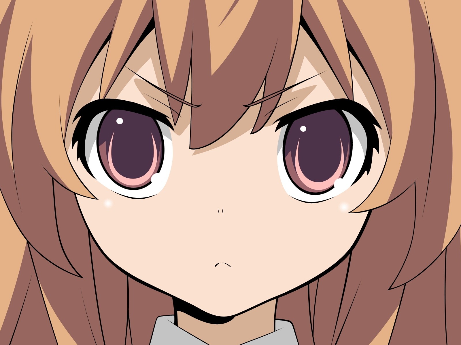 Toradora 龍與虎 高清壁紙 #37 - 1600x1200