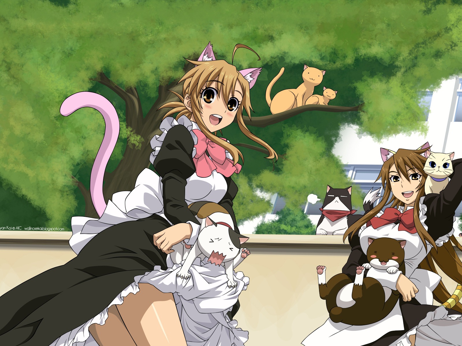 Nyan Koi! HD tapety na plochu #2 - 1600x1200