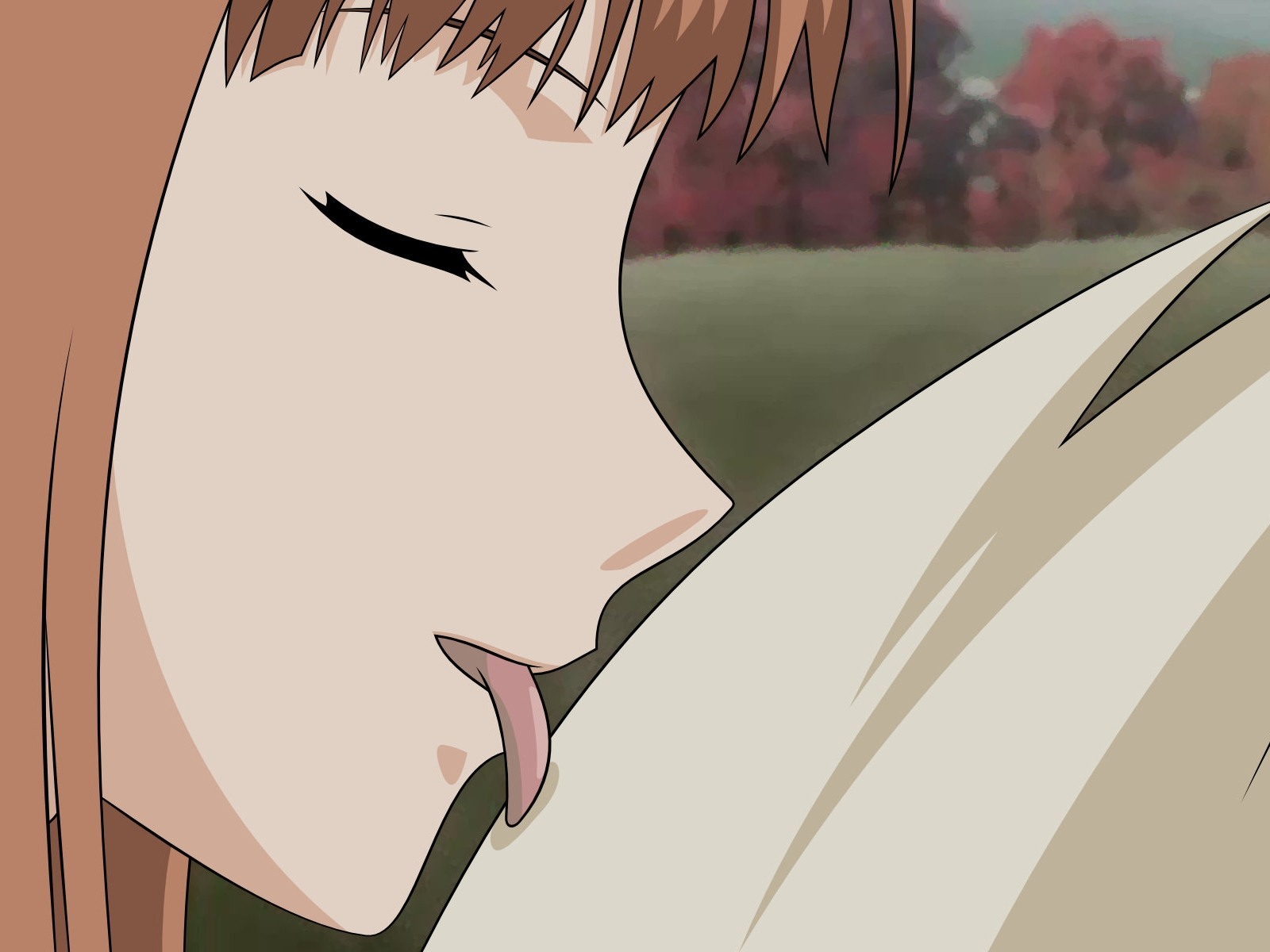 Spice and Wolf 狼與香辛料 高清壁紙 #9 - 1600x1200