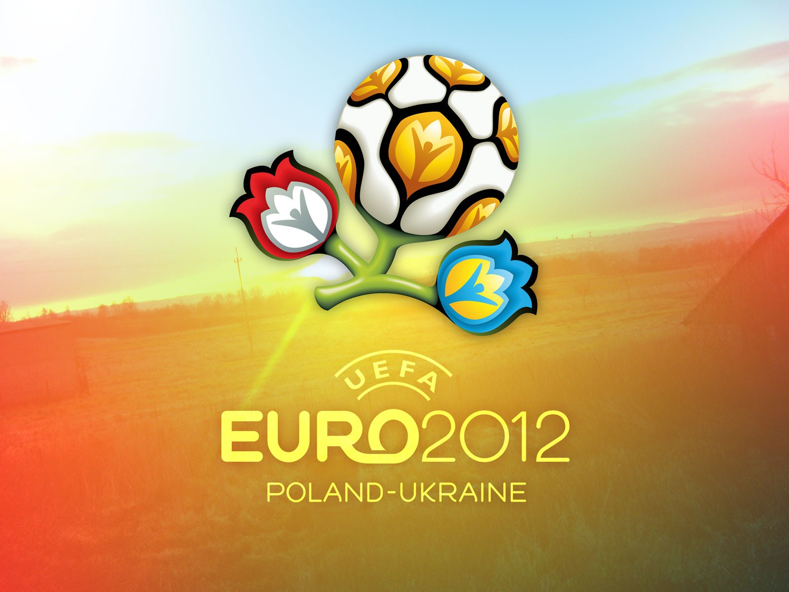 UEFA EURO 2012 HD Tapety na plochu (1) #1 - 1600x1200