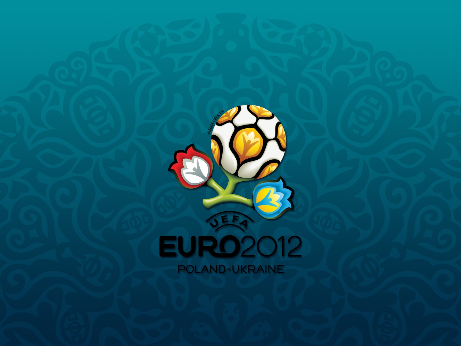UEFA EURO 2012年歐錦賽高清壁紙(二) #13 - 1600x1200