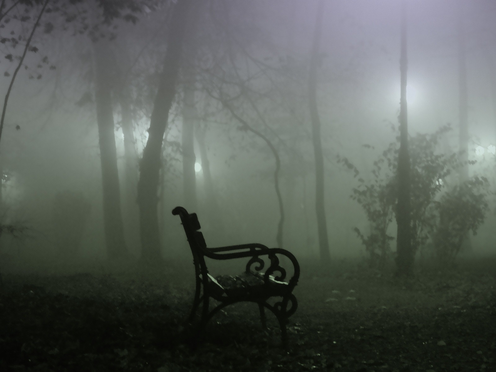 Windows 7 Wallpapers: Automne Eerie #8 - 1600x1200