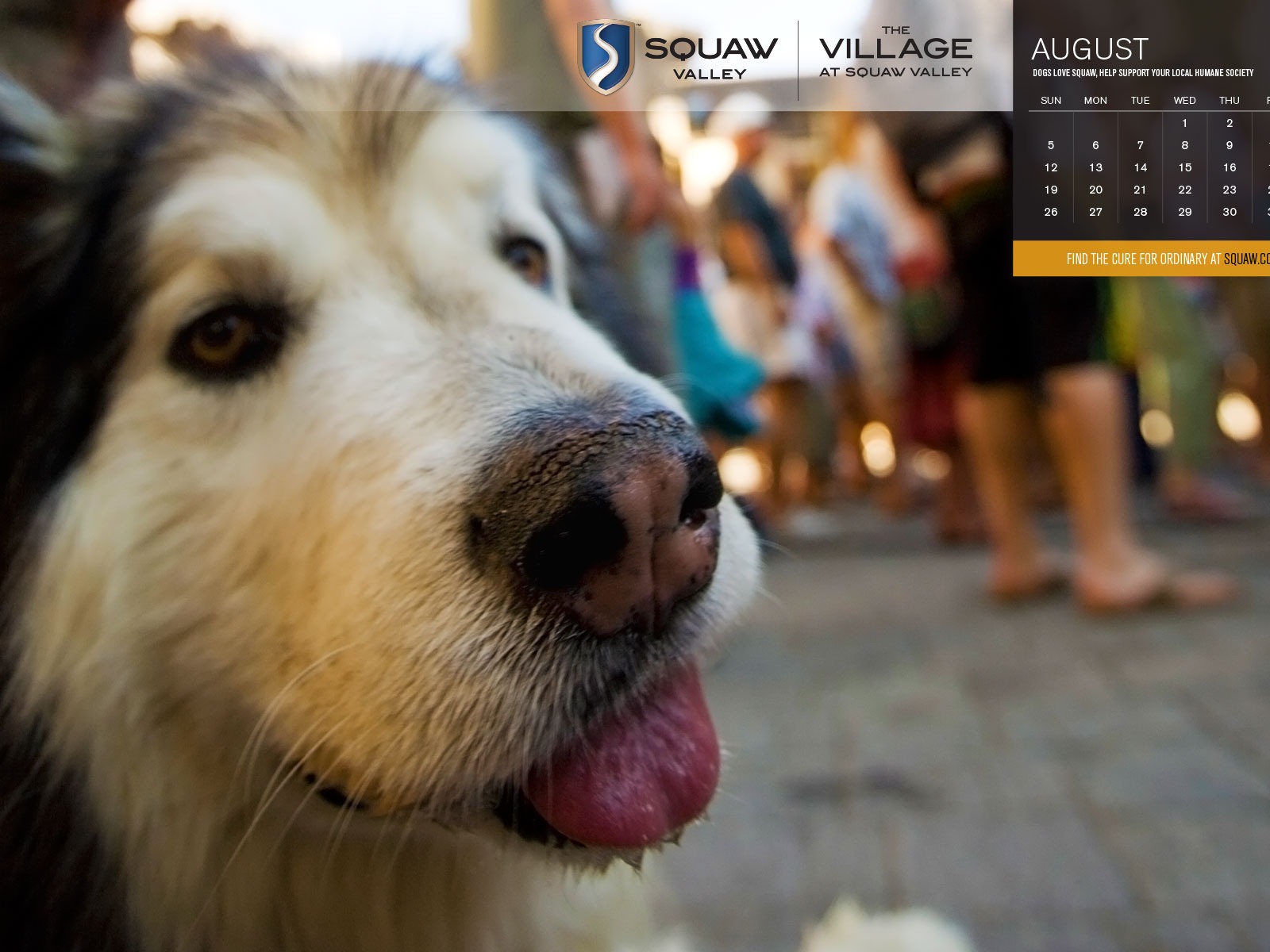 August 2012 Kalender Wallpapers (1) #3 - 1600x1200