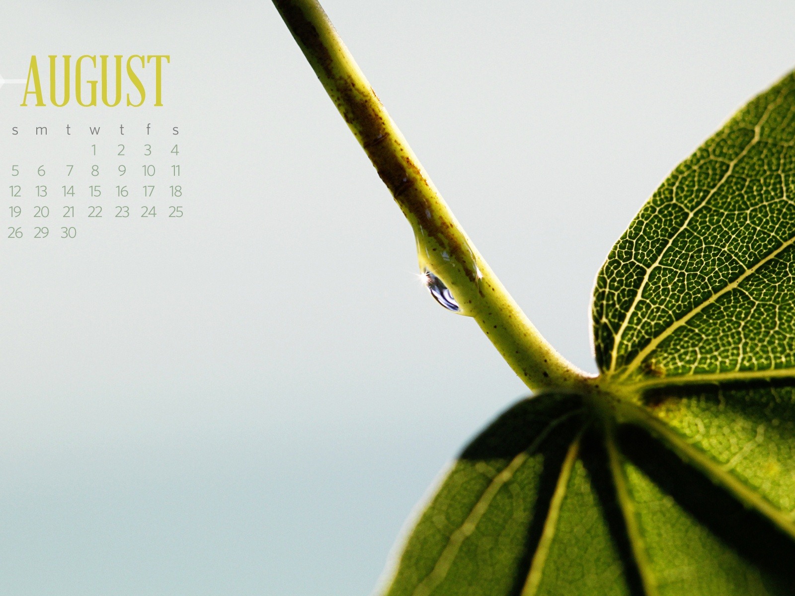 August 2012 Calendar wallpapers (2) #7 - 1600x1200