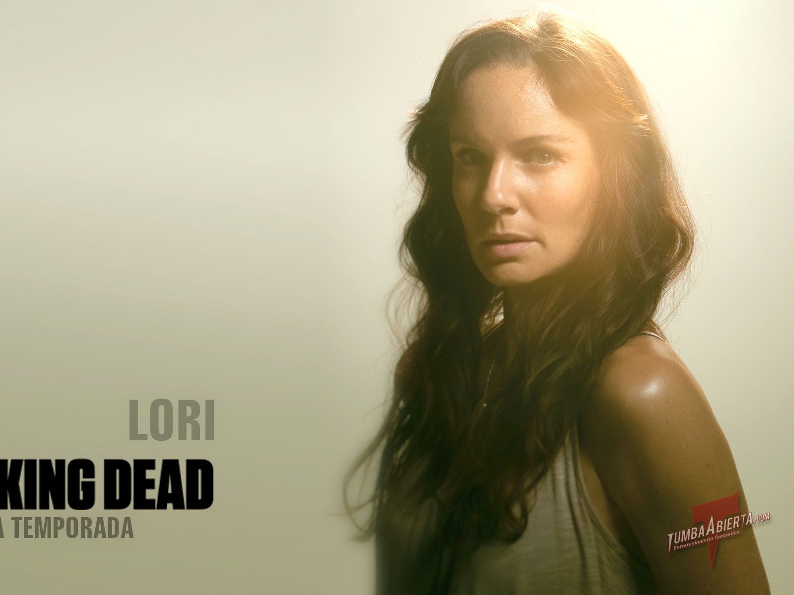 The Walking Dead HD Tapety na plochu #10 - 1600x1200