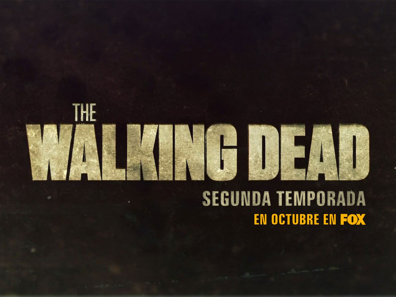 The Walking Dead HD Tapety na plochu #19 - 1600x1200