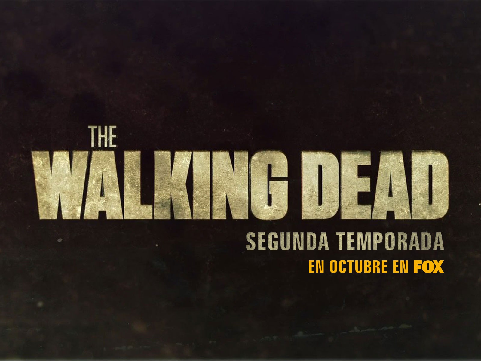 The Walking Dead 行屍走肉 高清壁紙 #19 - 1600x1200