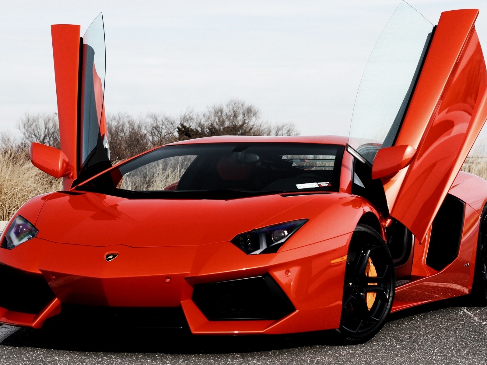 2012 Lamborghini Aventador LP700-4 蘭博基尼高清壁紙 #23 - 1600x1200