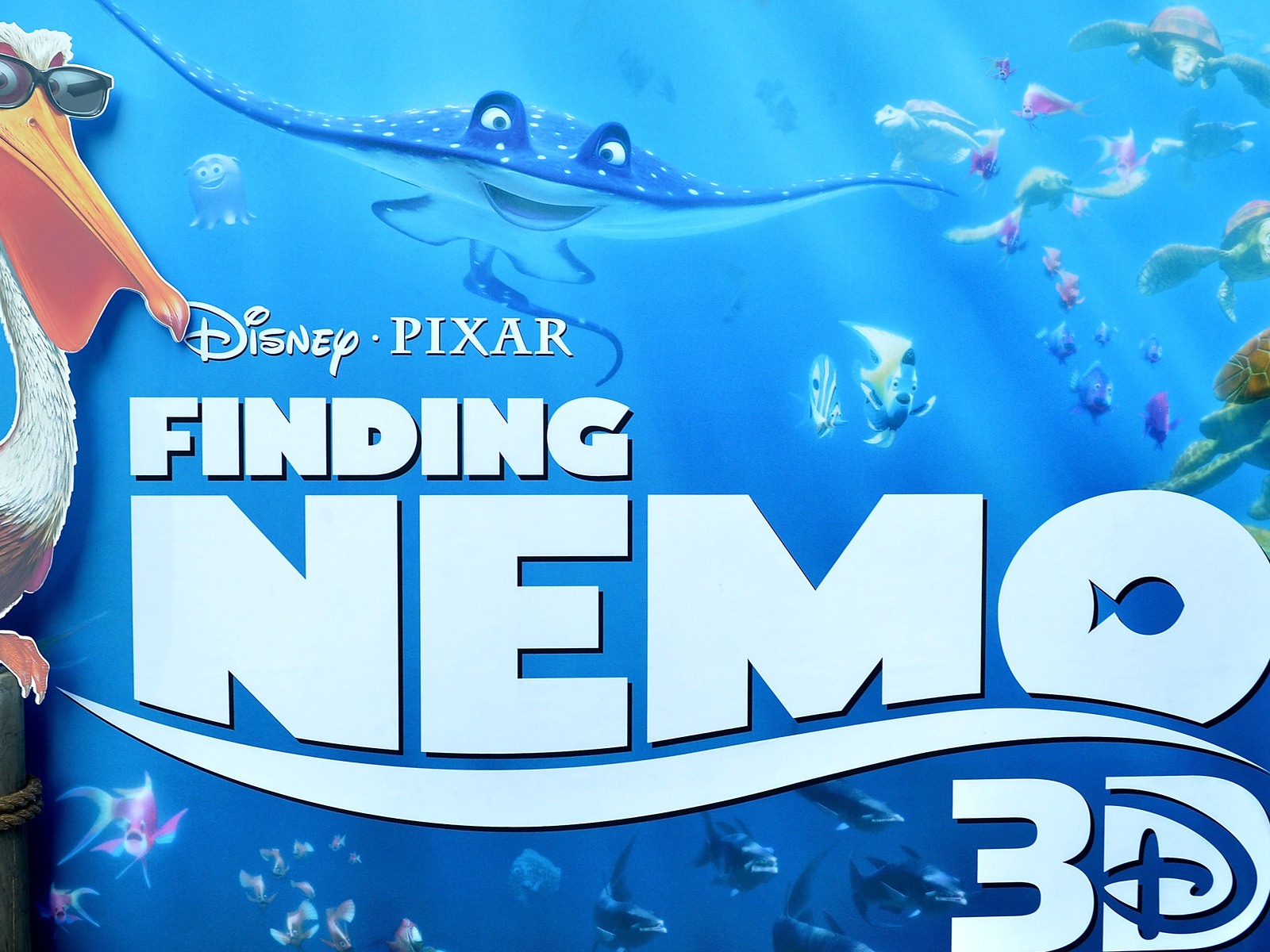 Finding Nemo 3D 海底總動員3D 2012高清壁紙 #2 - 1600x1200