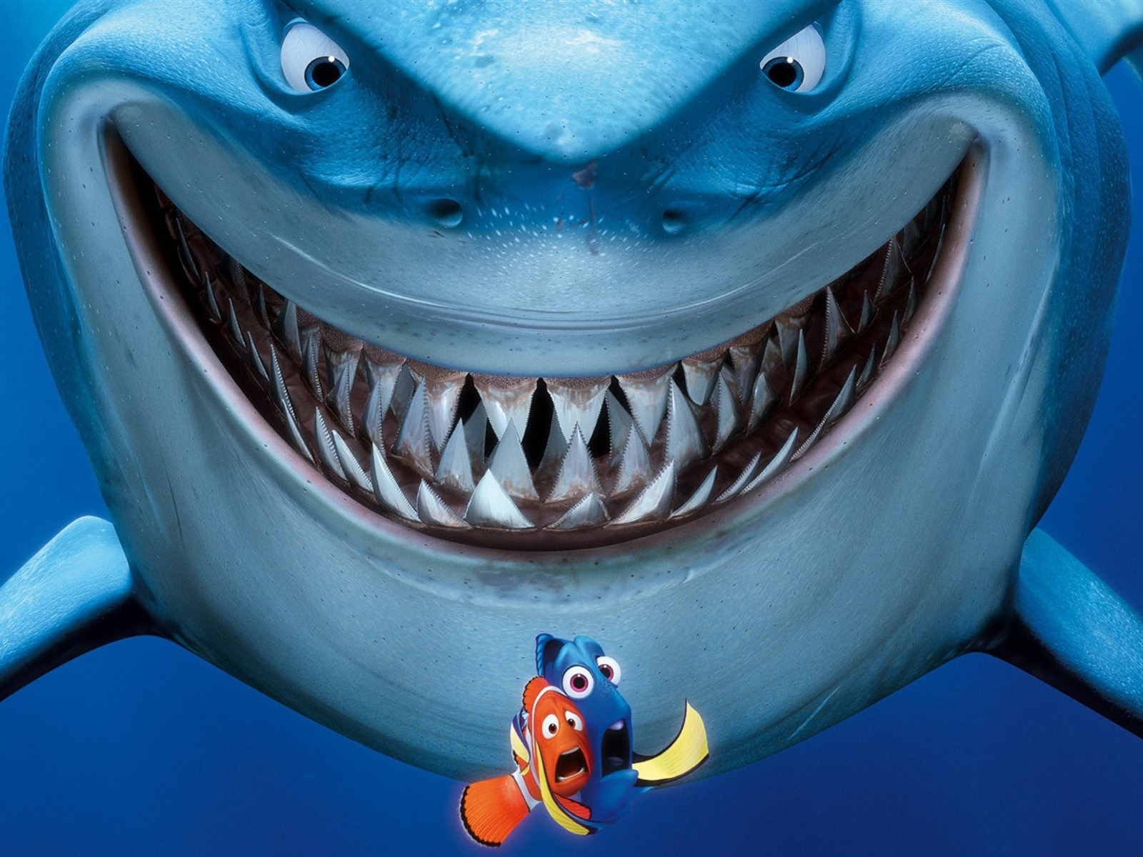 Finding Nemo 3D 海底總動員3D 2012高清壁紙 #13 - 1600x1200