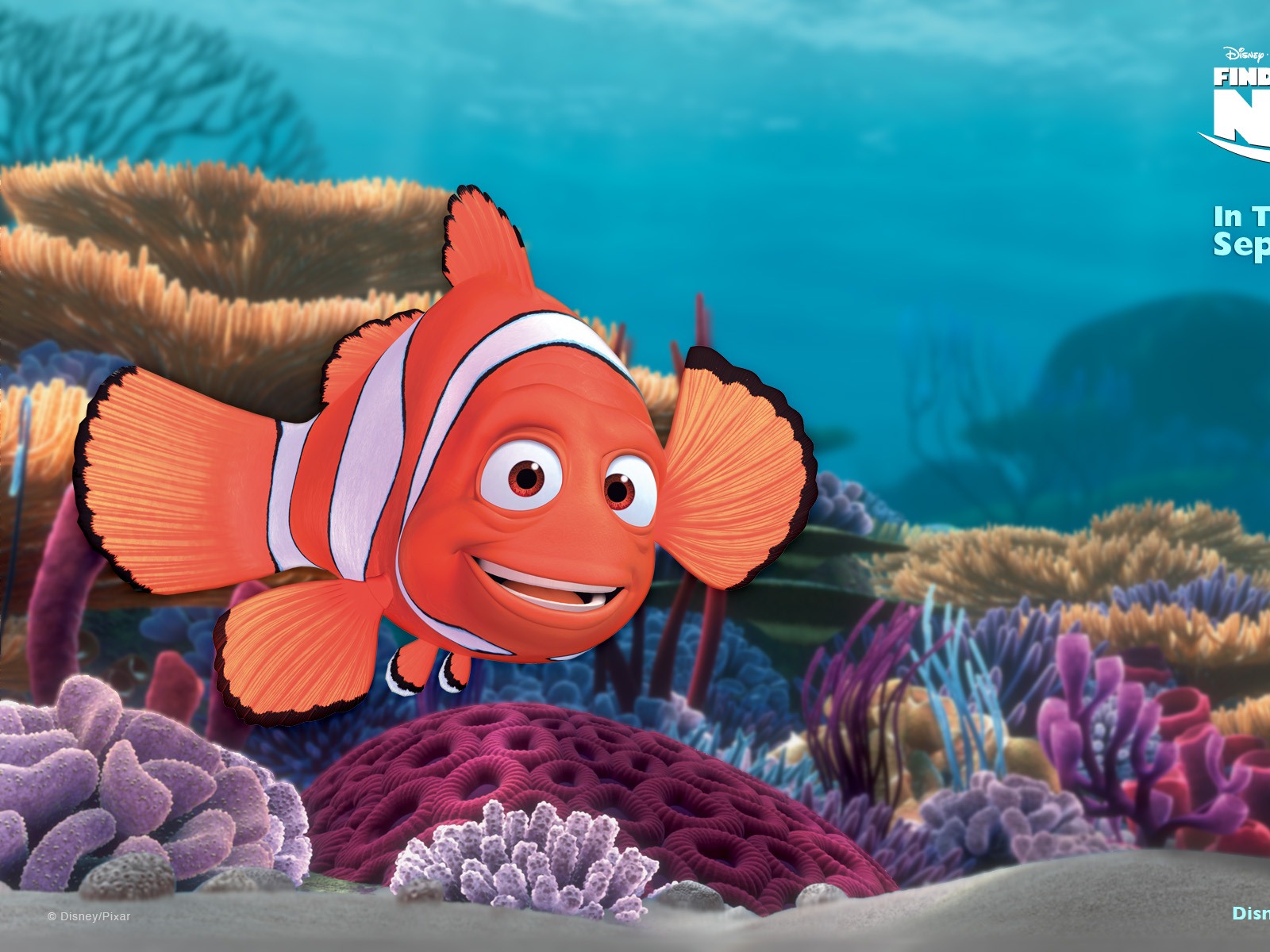 Finding Nemo 3D 海底總動員3D 2012高清壁紙 #18 - 1600x1200