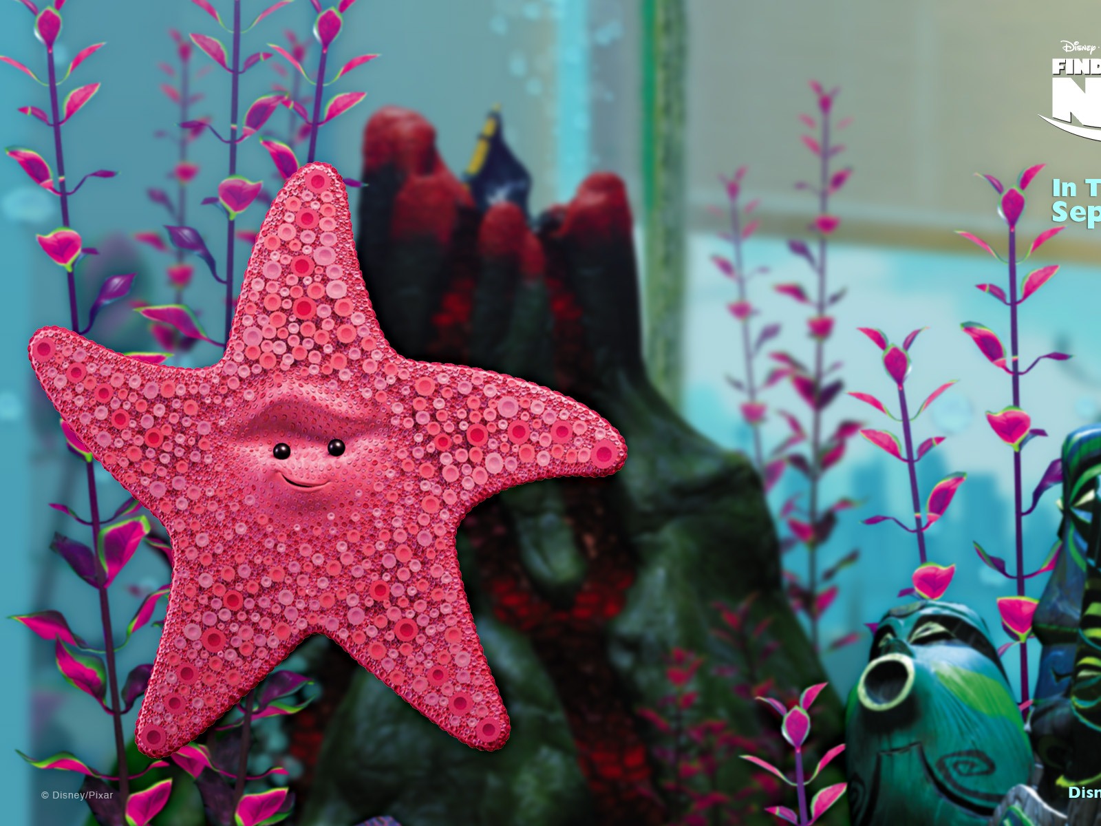 Finding Nemo 3D 海底總動員3D 2012高清壁紙 #20 - 1600x1200