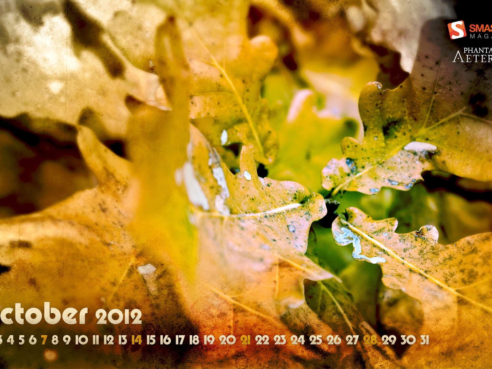 Octobre 2012 Calendar Wallpaper (1) #5 - 1600x1200