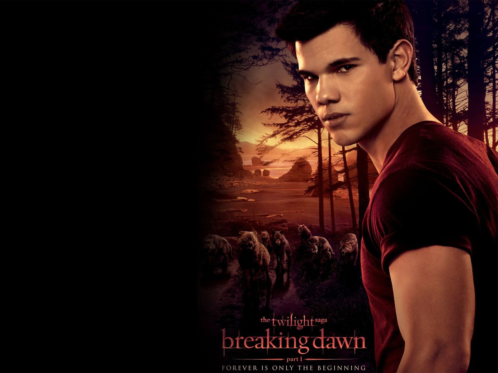 The Twilight Saga: Breaking Dawn 暮光之城4：破晓 高清壁纸29 - 1600x1200