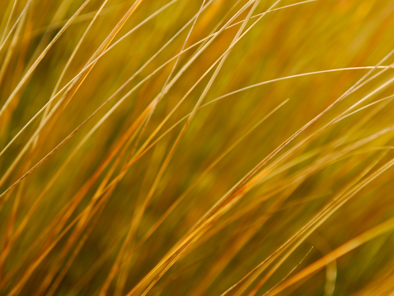 Windows 8 RP版 官方高清壁紙 #9 - 1600x1200