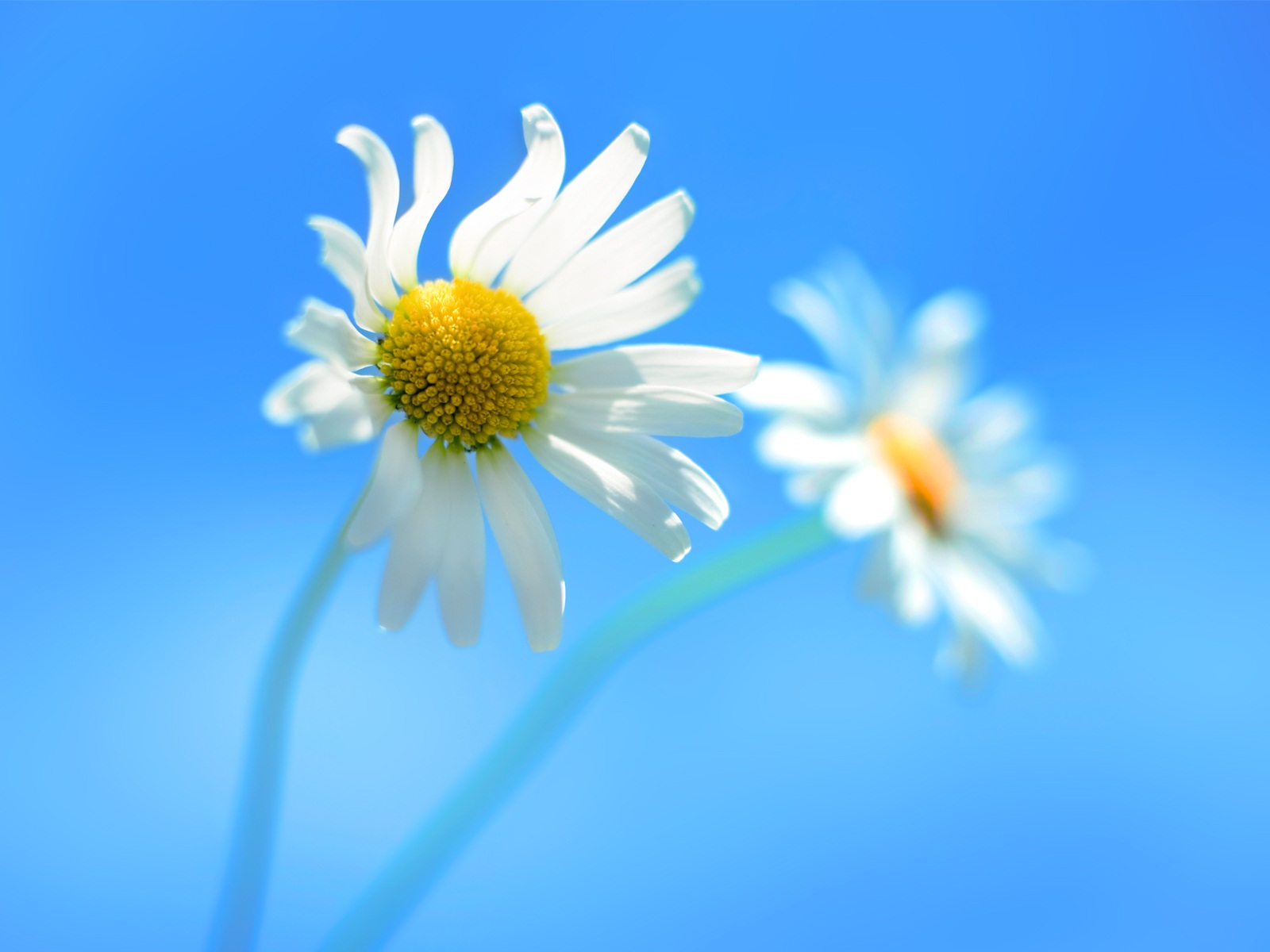 Windows 8 RTM版 官方高清壁紙 #1 - 1600x1200