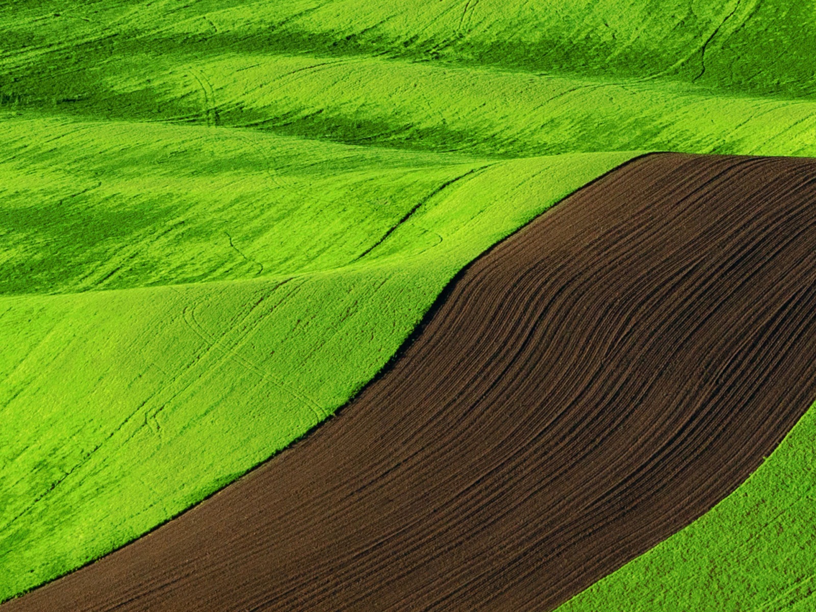 Windows 8 RTM版 官方高清壁紙 #7 - 1600x1200