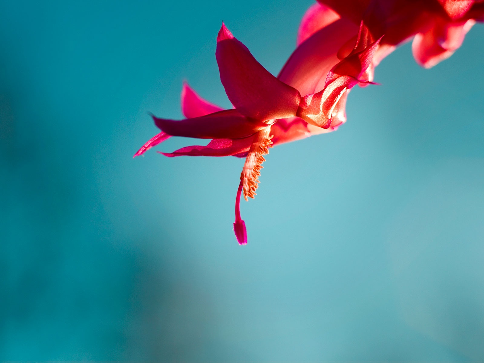 Windows 8 RTM版 官方高清壁紙 #9 - 1600x1200
