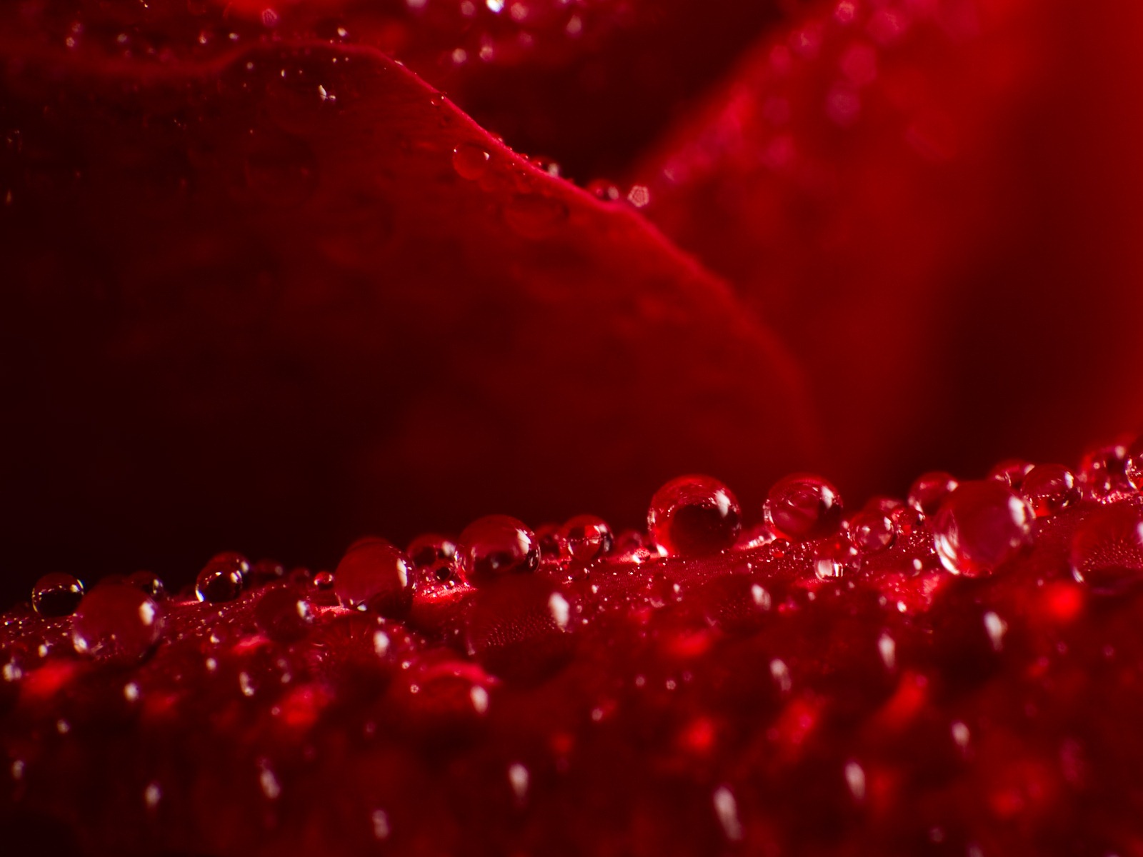 Windows 7 壁紙：水珠 #3 - 1600x1200