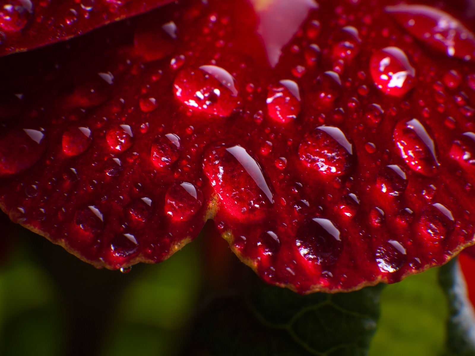 Windows 7 壁紙：水珠 #4 - 1600x1200
