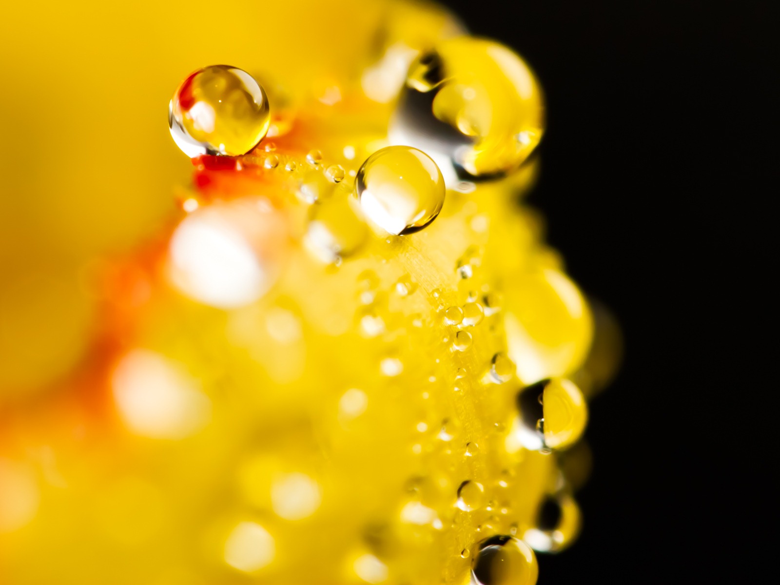 Windows 7 壁紙：水珠 #10 - 1600x1200