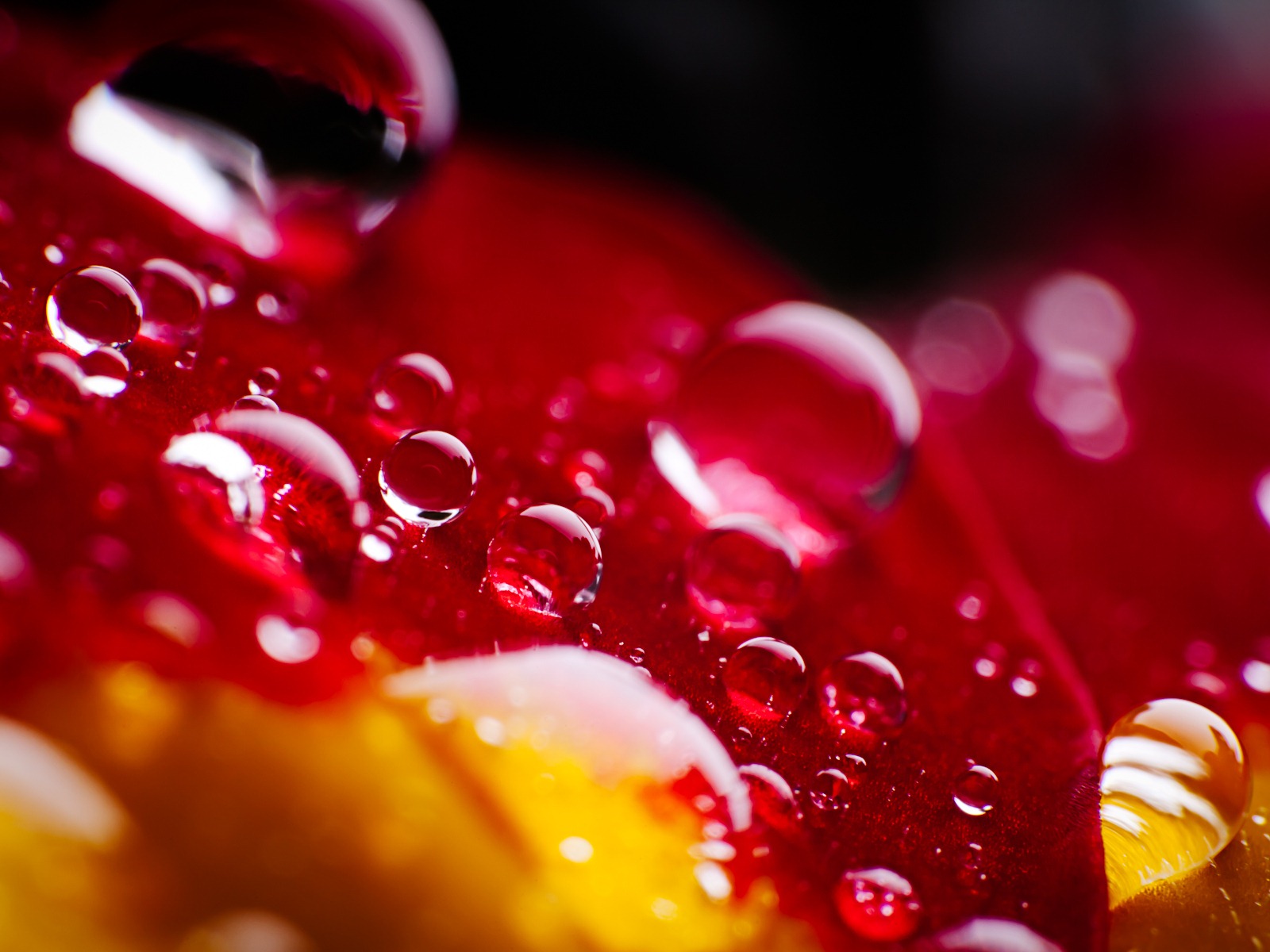 Windows 7 壁紙：水珠 #11 - 1600x1200