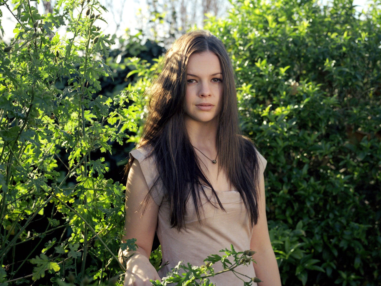 Amber Tamblyn 愛波·塔布琳 美女壁紙 #29 - 1600x1200