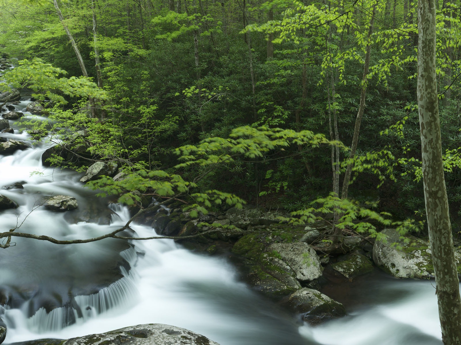 Windows 8の公式パノラマの壁紙、波、森林、雄大な山々 #8 - 1600x1200