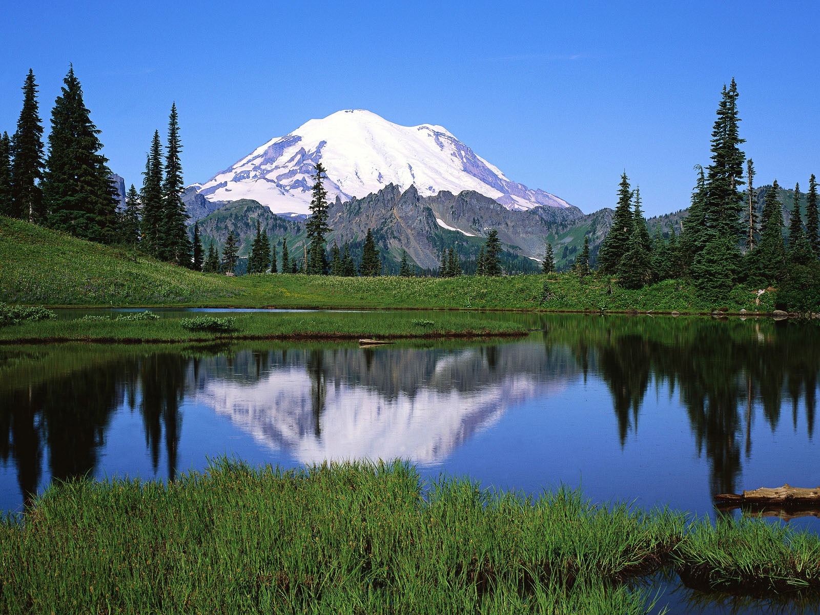 Windows 8 官方全景主題壁紙，海浪，森林，雄偉高山 #18 - 1600x1200