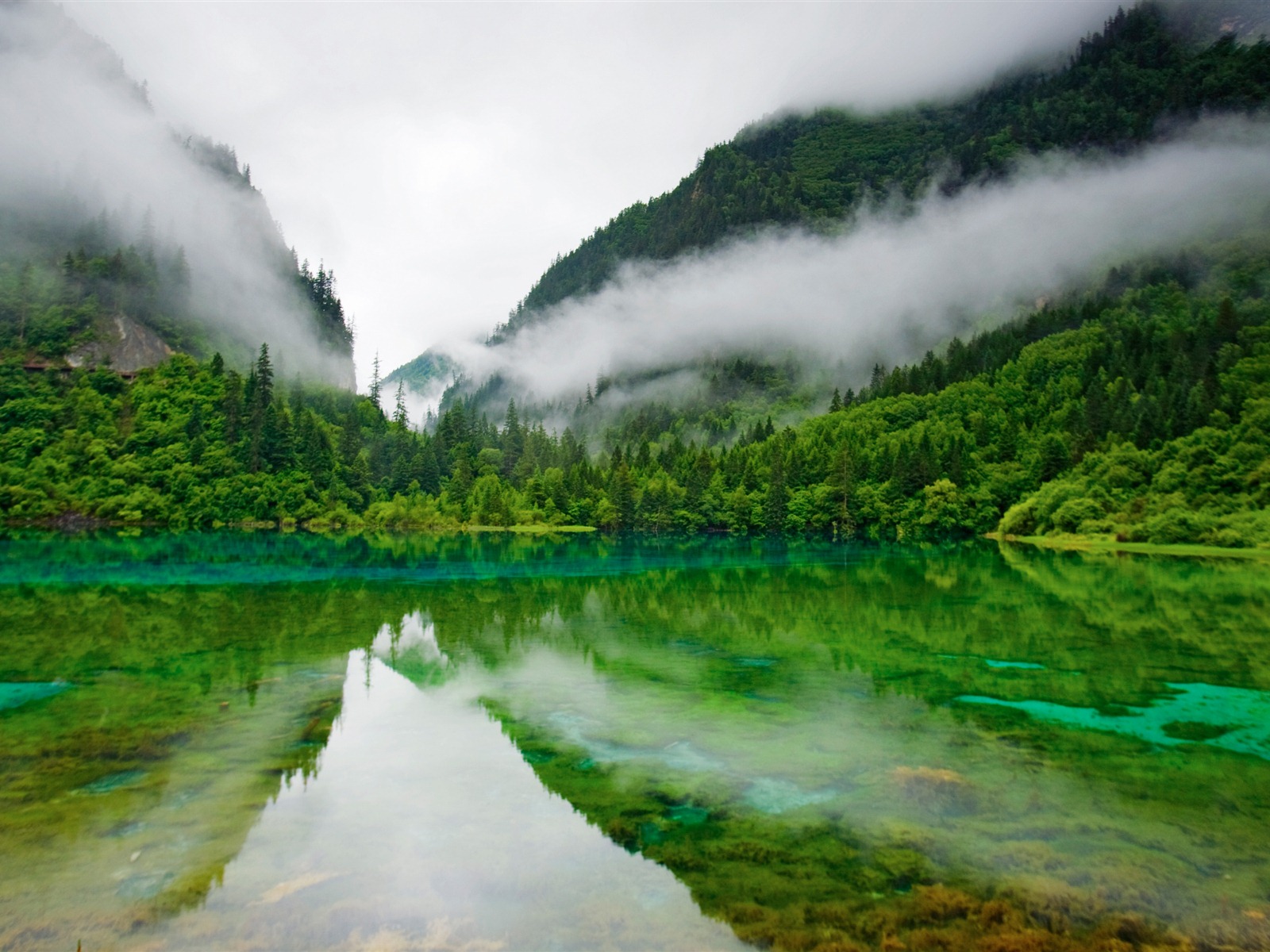 Mac OS X Mountain Lion 蘋果山獅系統隱藏的高清壁紙 #19 - 1600x1200