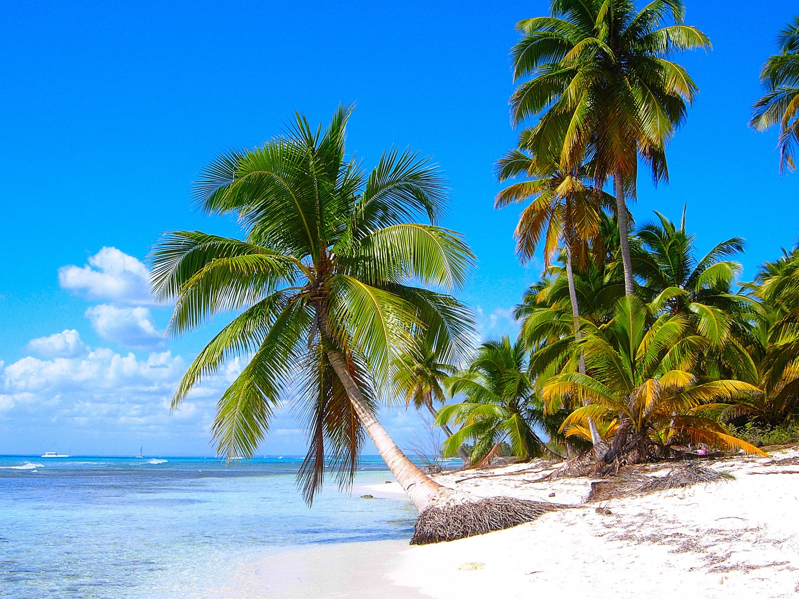 Windows 8 壁紙：加勒比海濱 #2 - 1600x1200