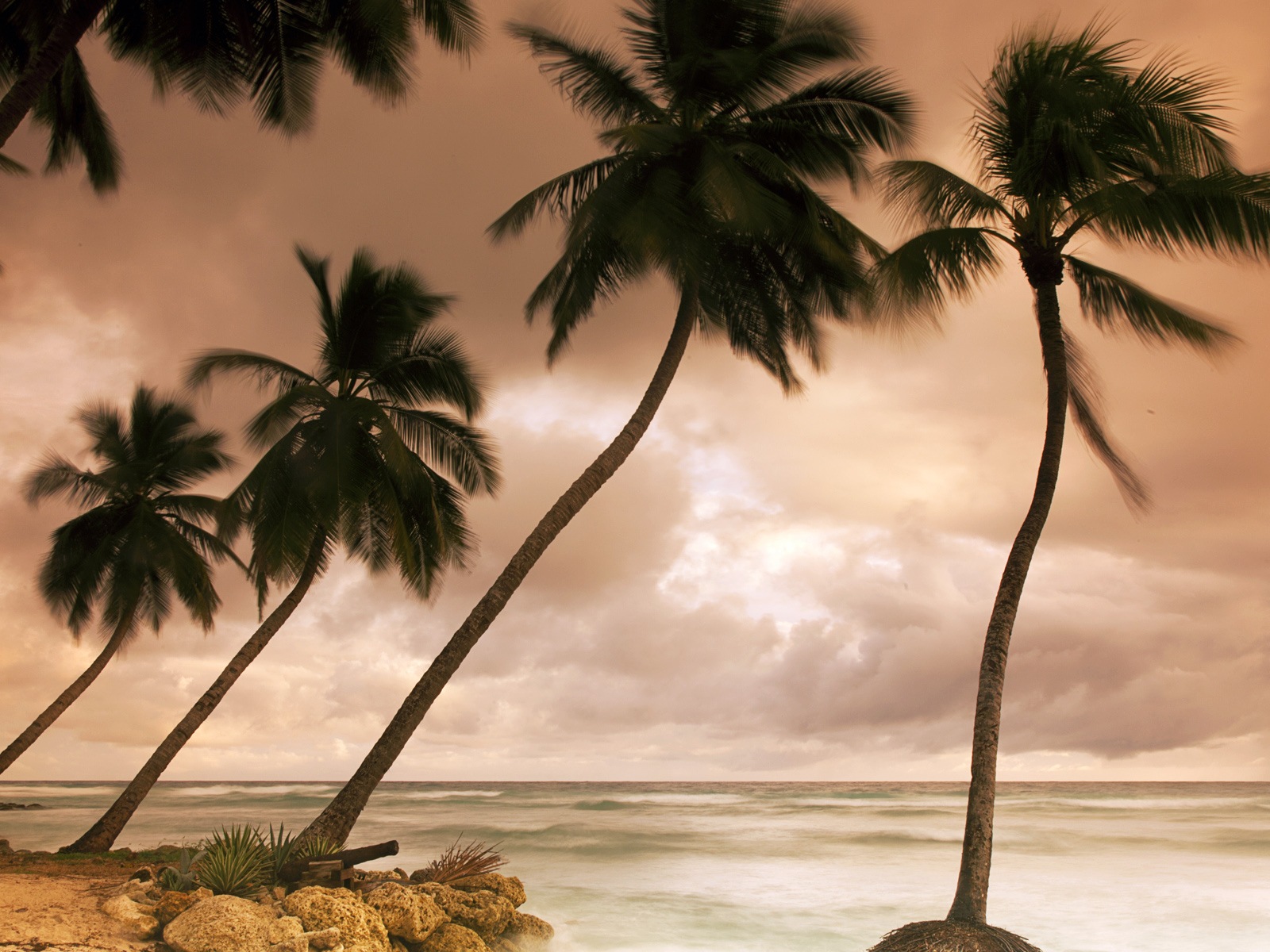 Windows 8: Fonds d'écran Shores Caraïbes #7 - 1600x1200
