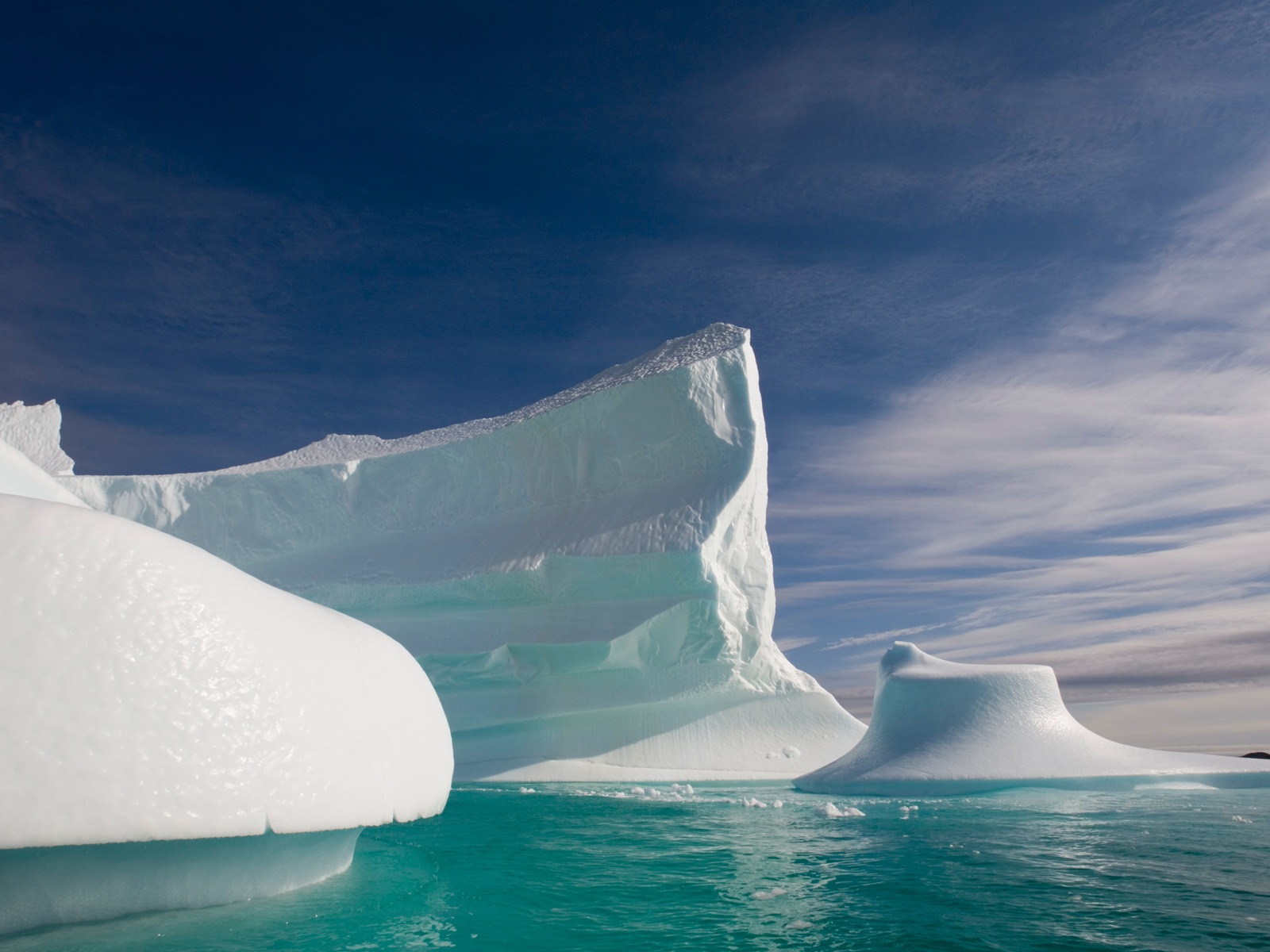 Windows 8 Wallpapers: Arctic, the nature ecological landscape, arctic animals #14 - 1600x1200