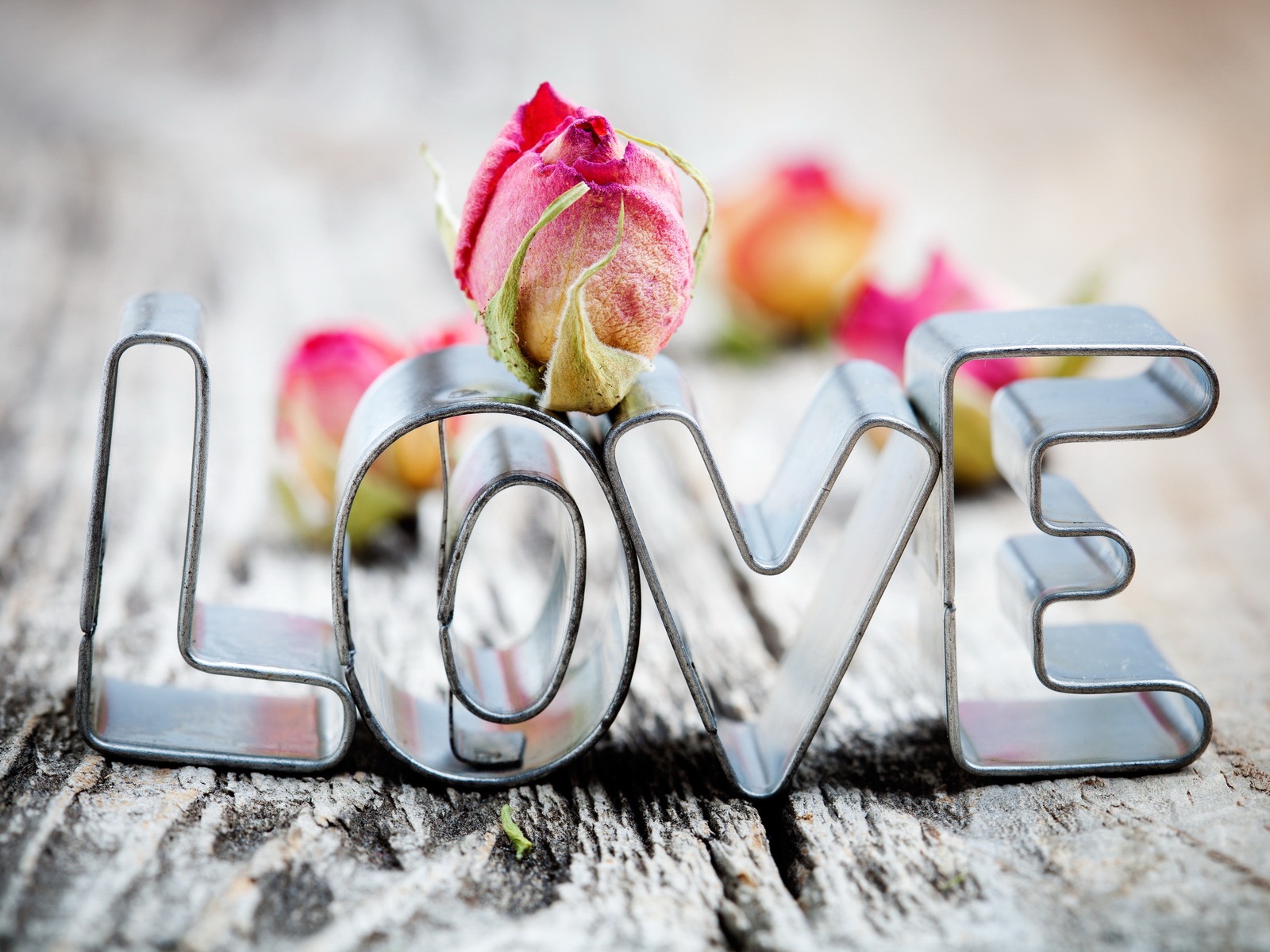 Teplé a romantické Valentýna HD Tapety na plochu #1 - 1600x1200