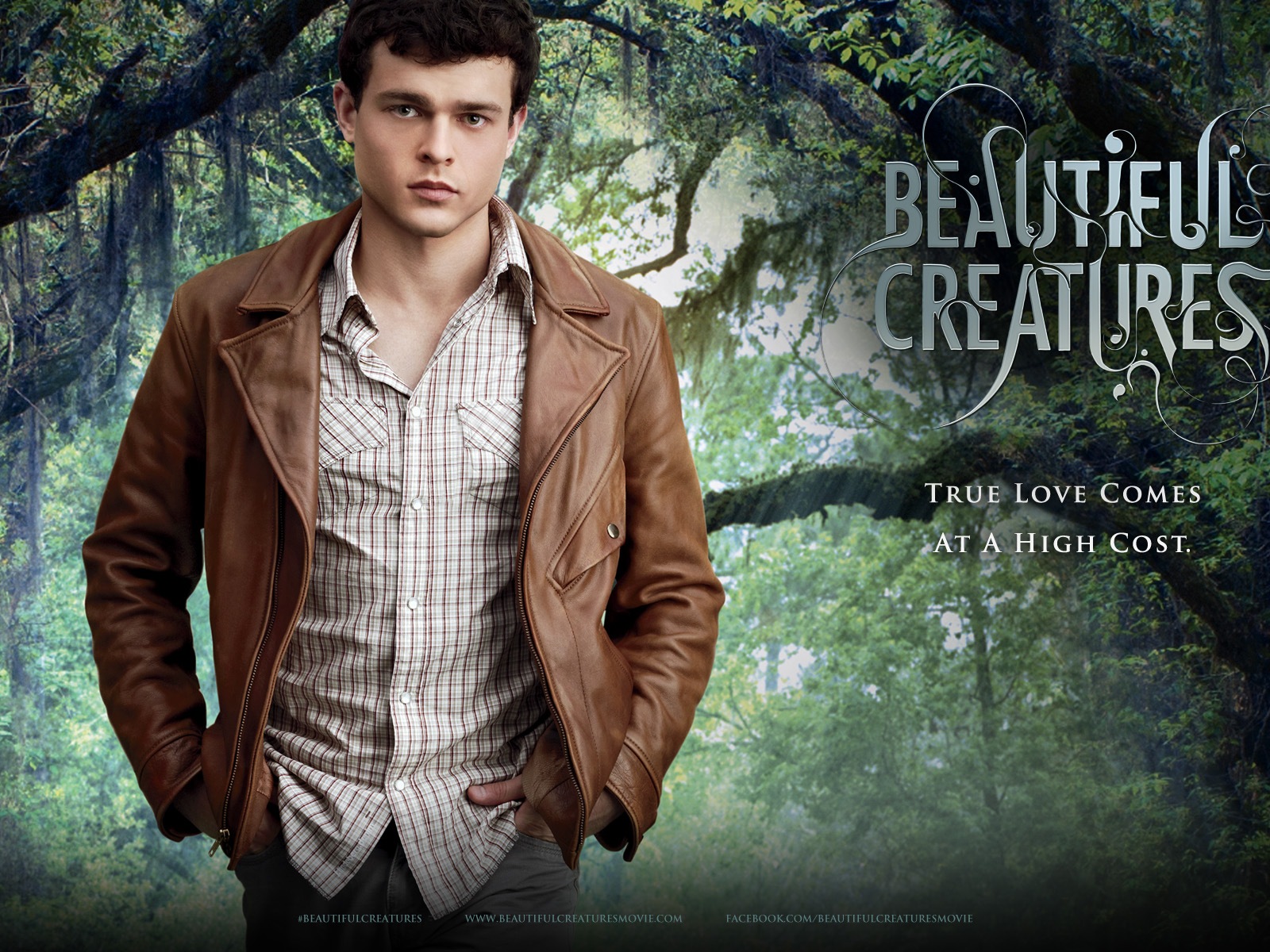 Beautiful Creatures 2013 Fondos de vídeo HD #5 - 1600x1200