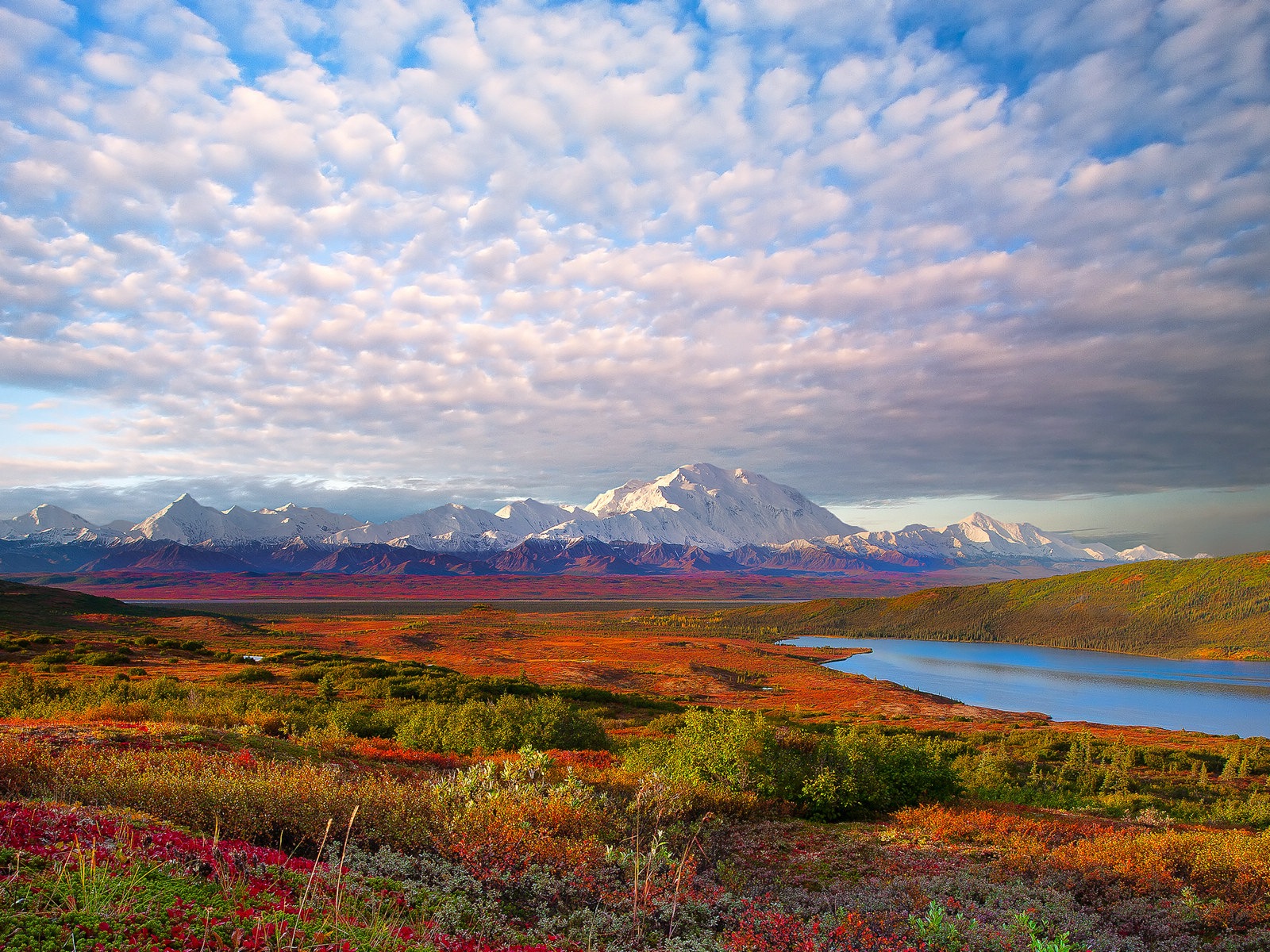 Denali National Park Landschaft HD Wallpaper #1 - 1600x1200