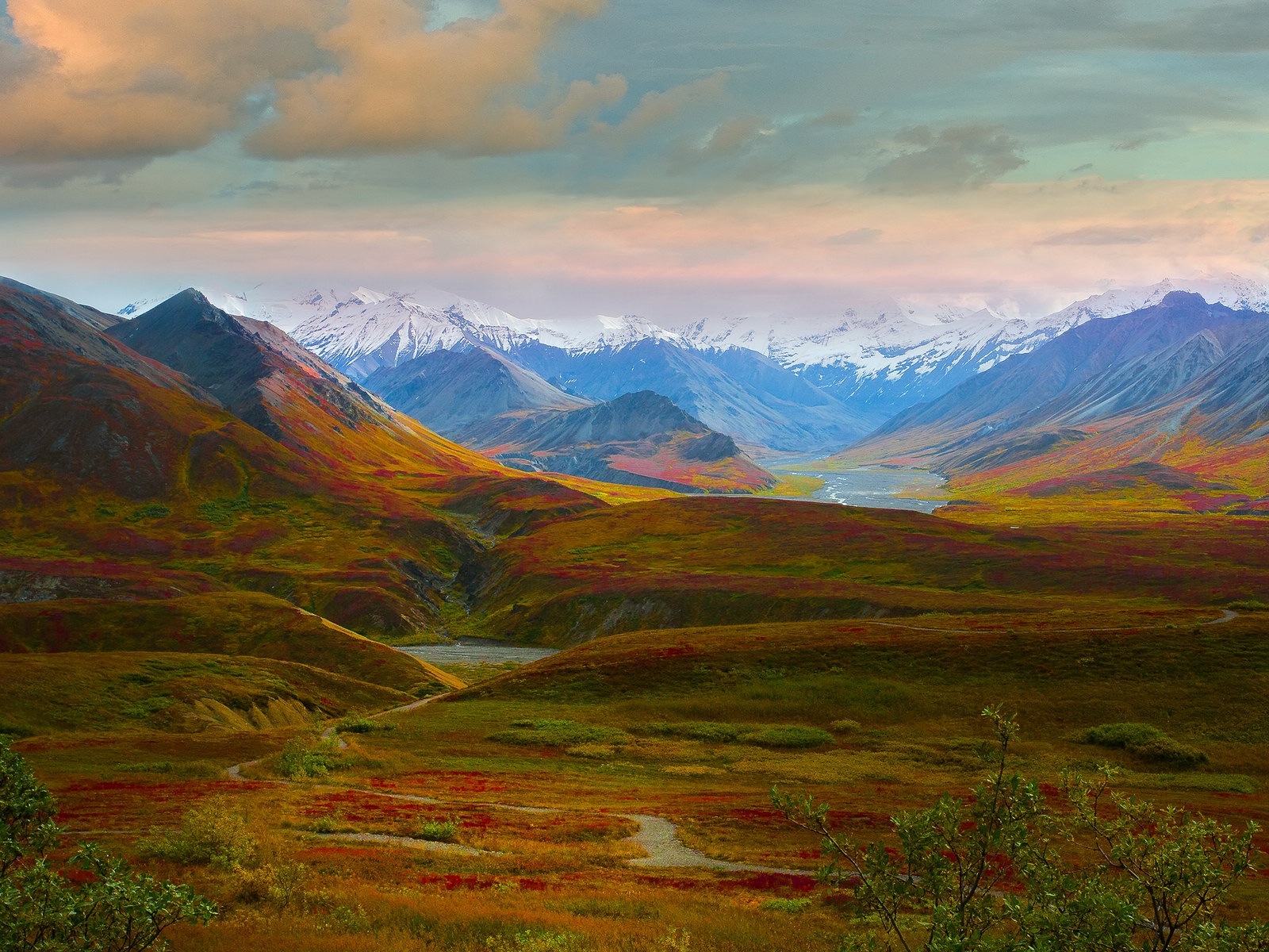 Denali National Park 迪納利國家公園 高清風景壁紙 #5 - 1600x1200