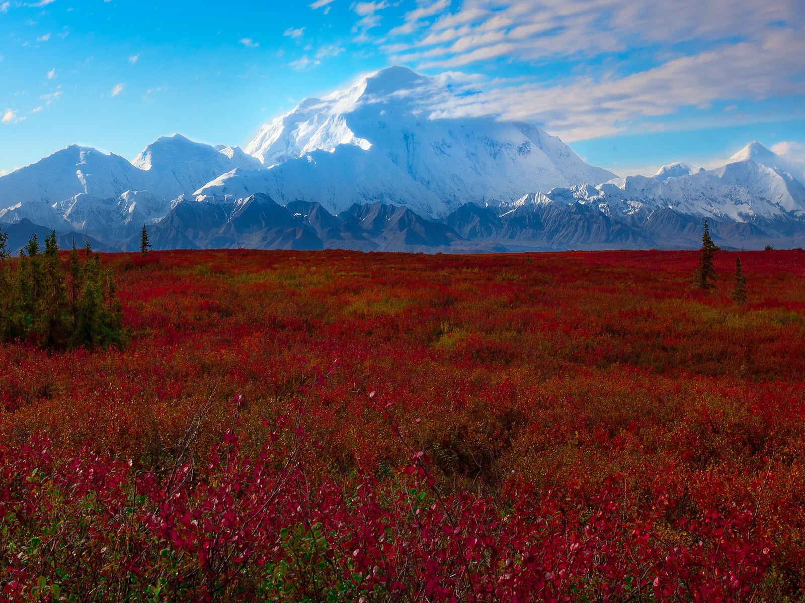 Denali National Park 迪納利國家公園 高清風景壁紙 #7 - 1600x1200