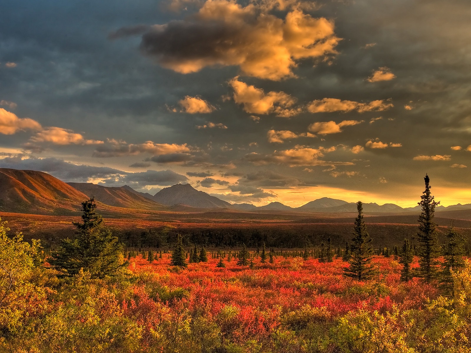 Denali National Park 迪納利國家公園 高清風景壁紙 #8 - 1600x1200