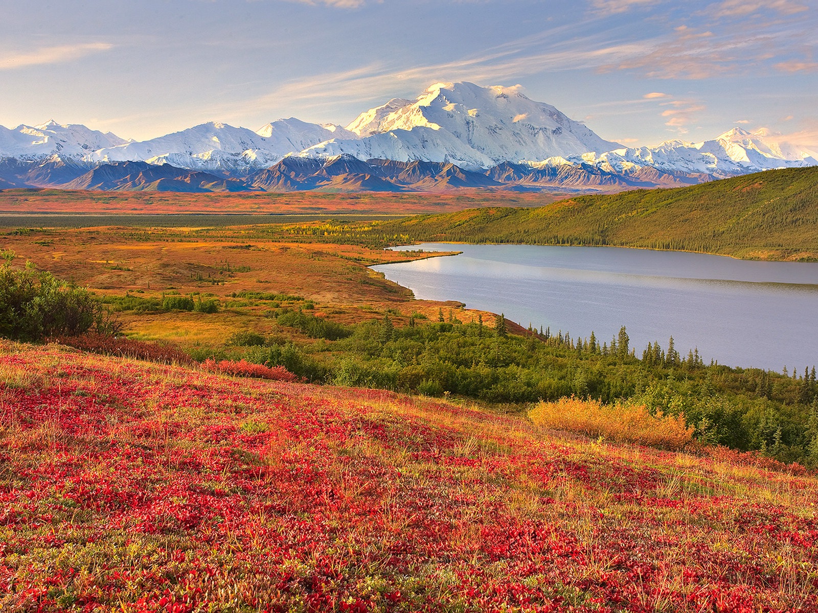Denali National Park 迪納利國家公園 高清風景壁紙 #10 - 1600x1200
