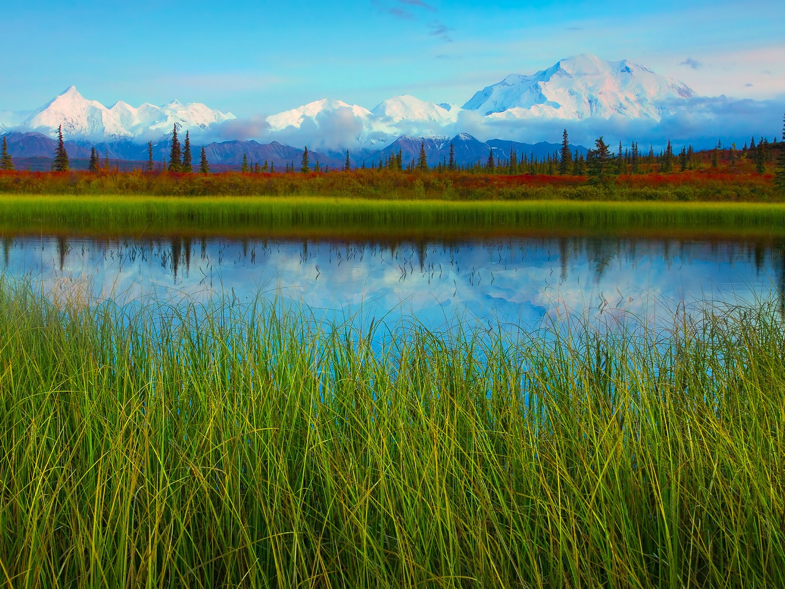 Denali National Park 迪納利國家公園 高清風景壁紙 #11 - 1600x1200